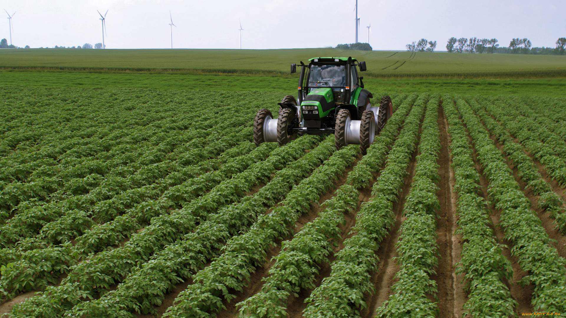 техника, тракторы, traktor, green