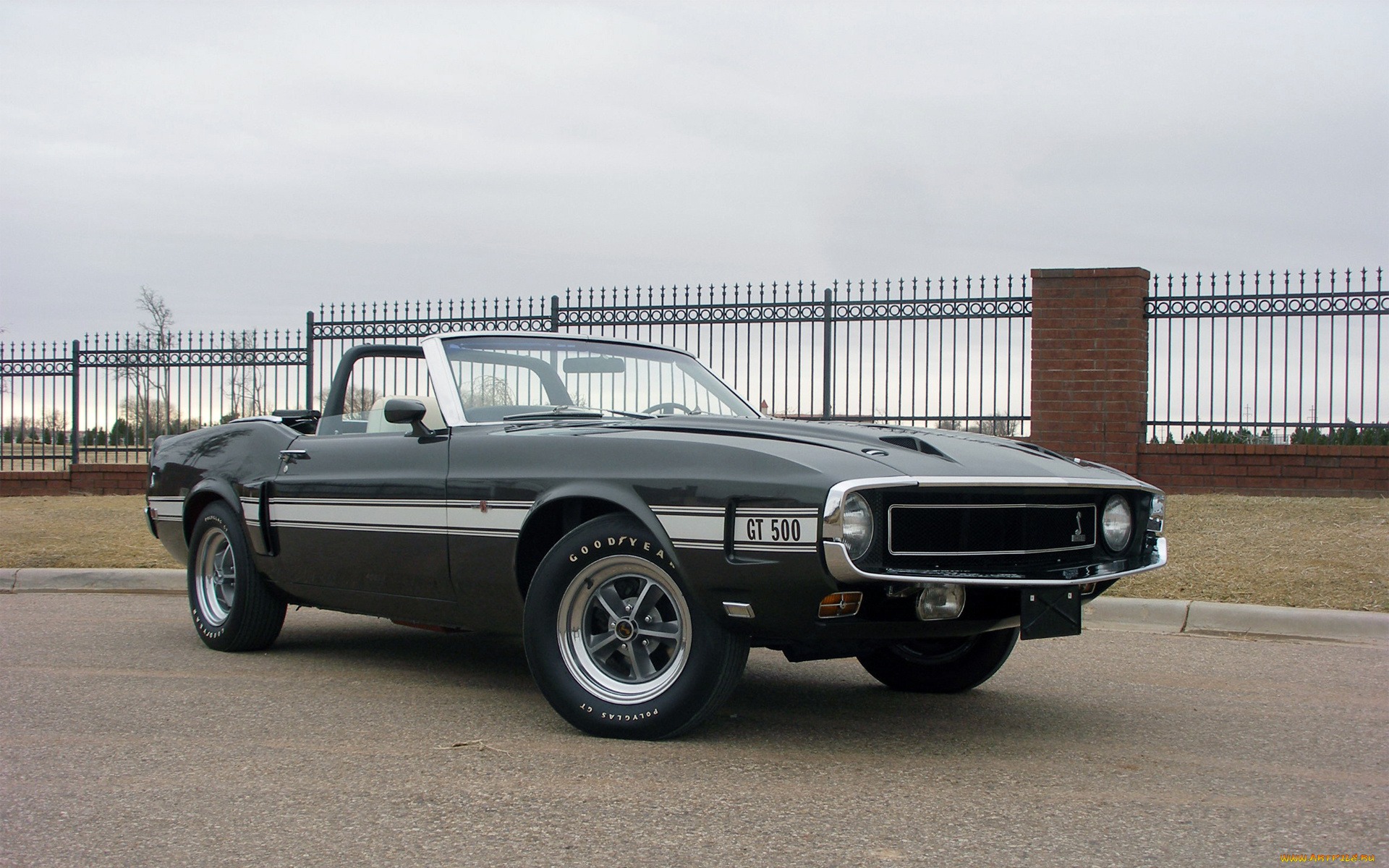 автомобили, mustang