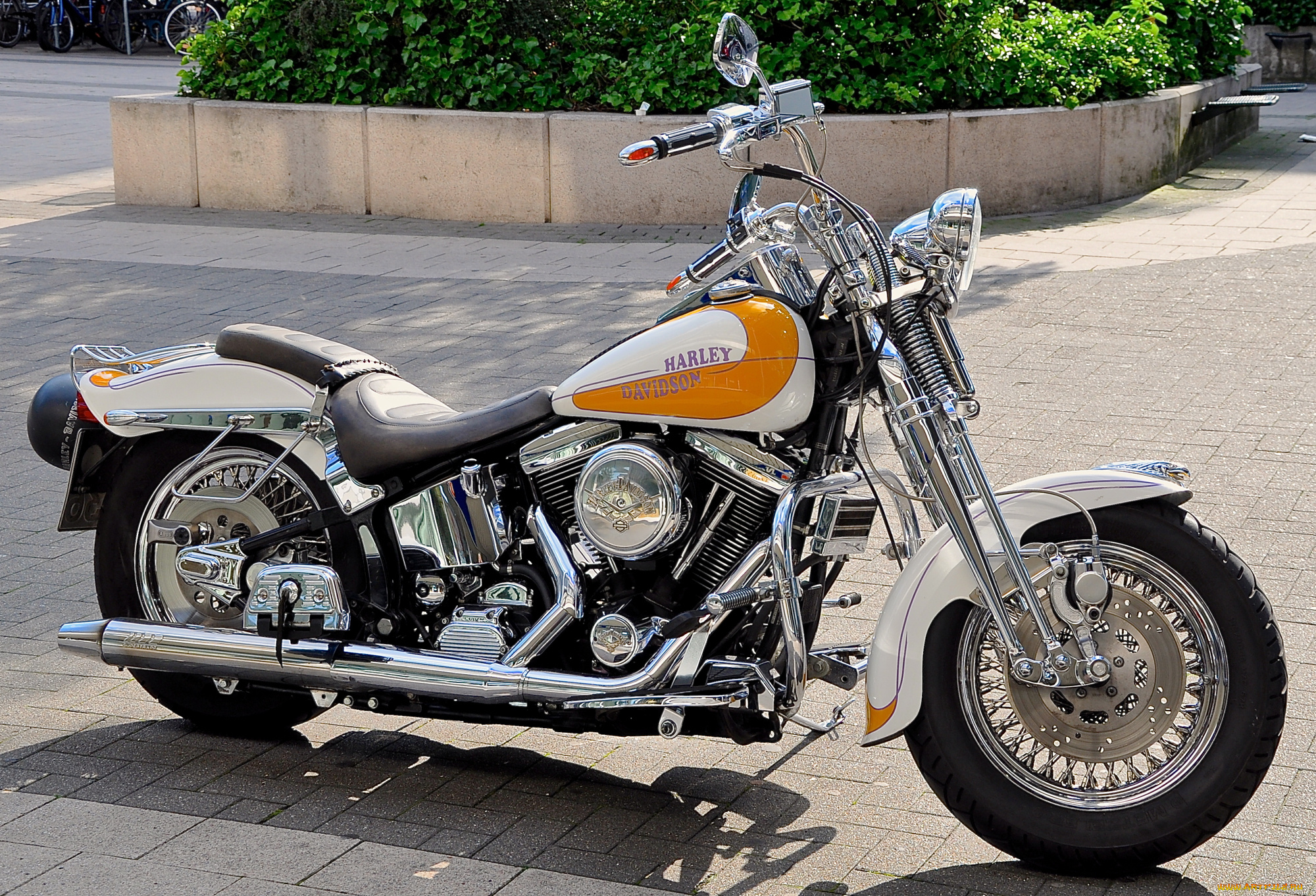 мотоциклы, harley-davidson, harley