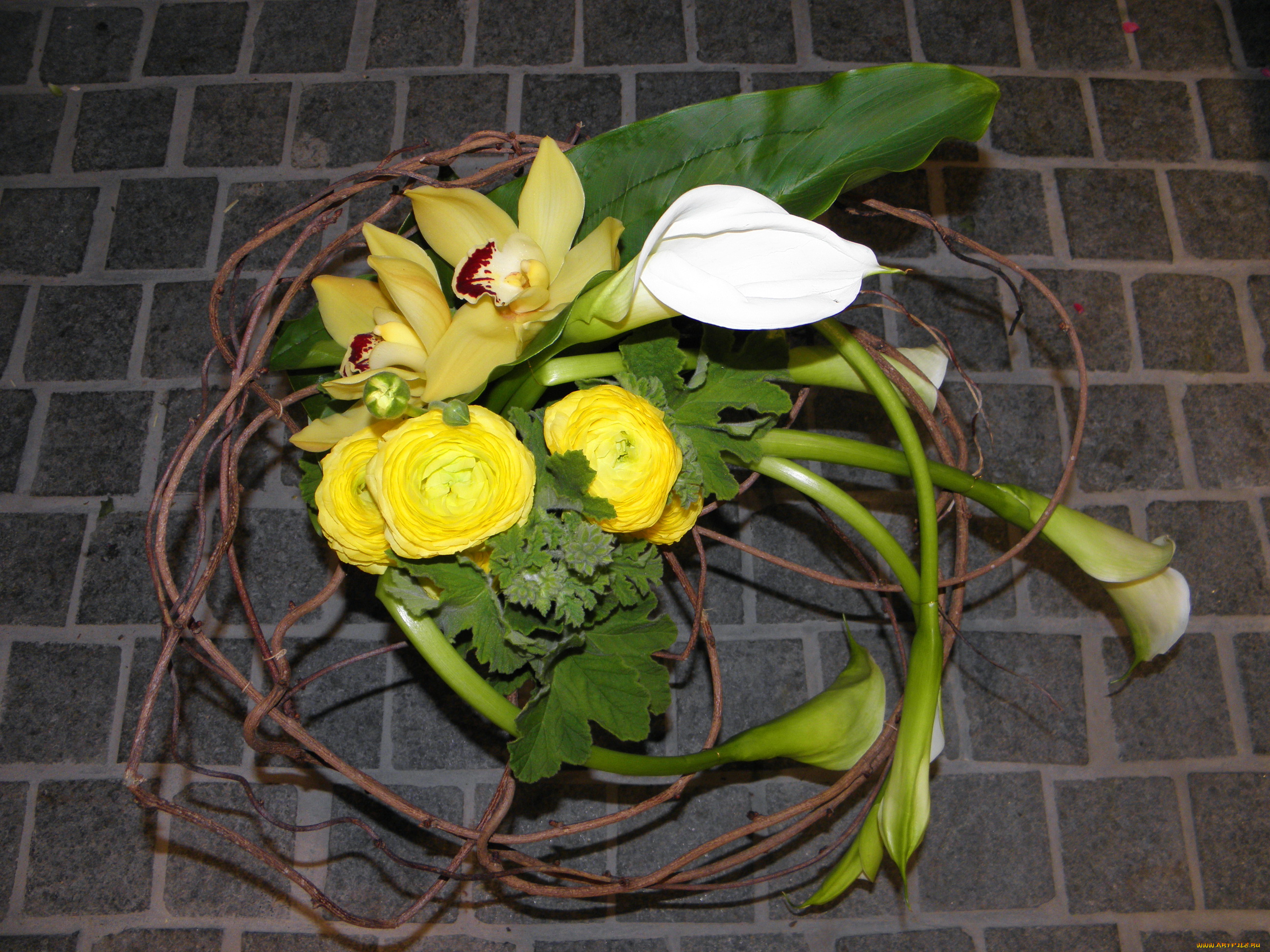 цветы, букеты, , композиции, орхидеи, каллы, лютики