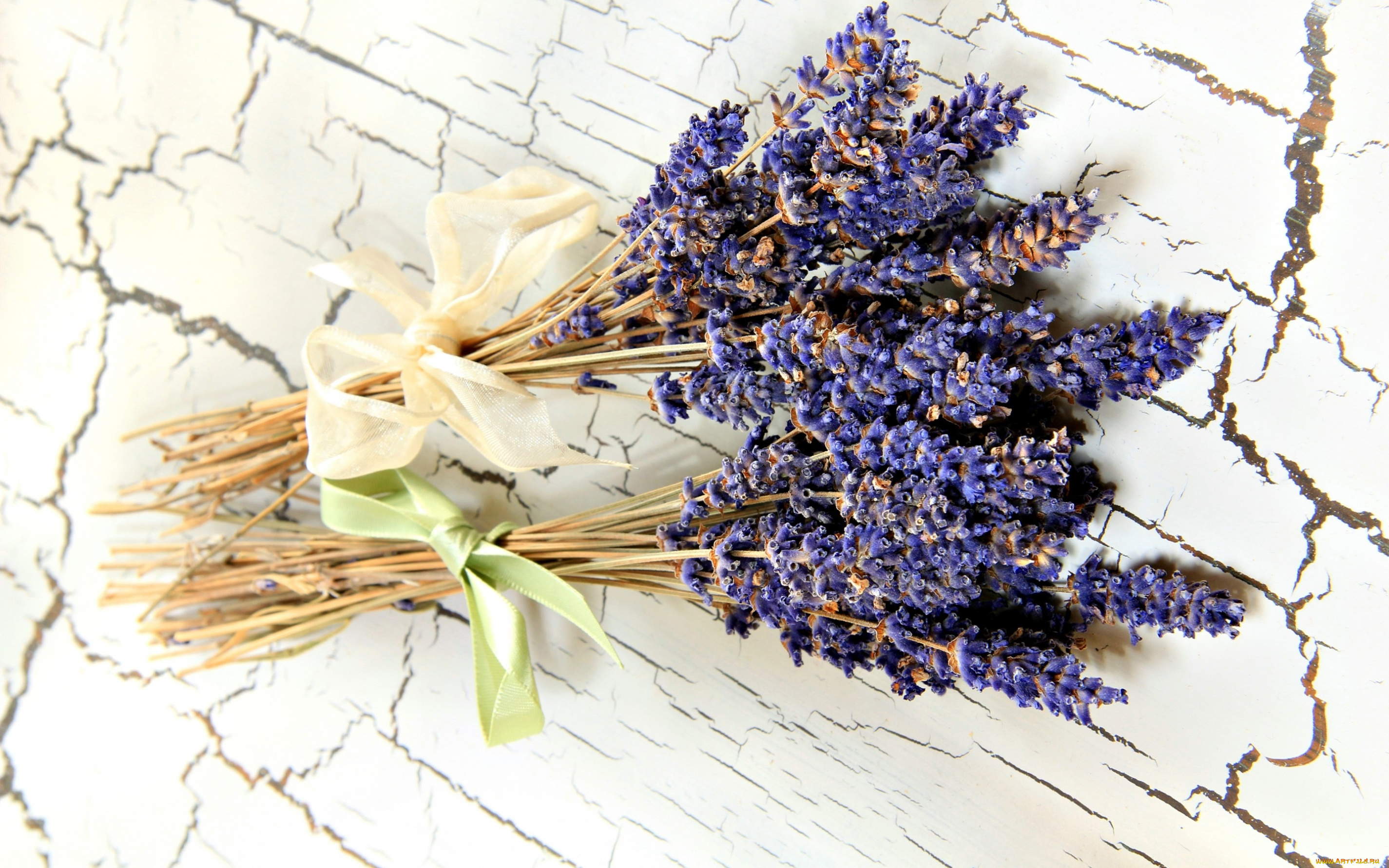цветы, лаванда, натюрморт