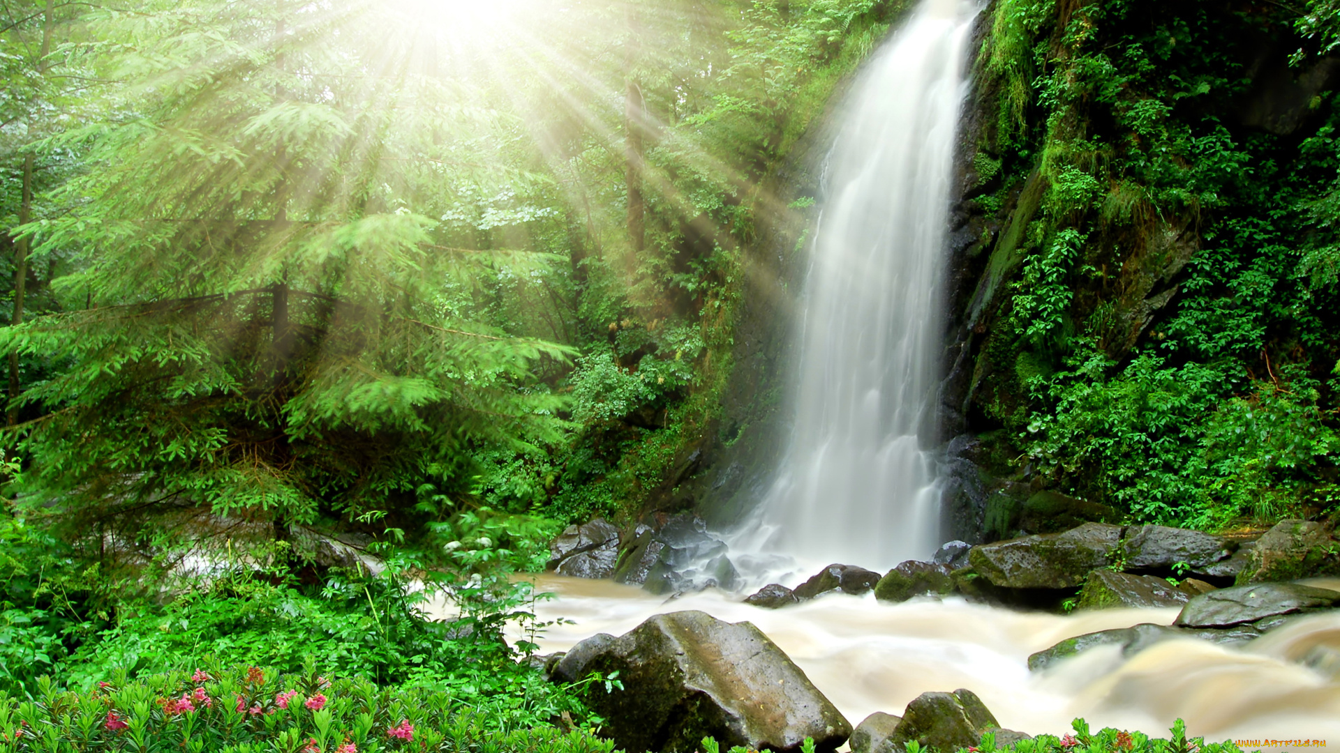 природа, водопады, цветы, лучи, водопад, трава, деревья