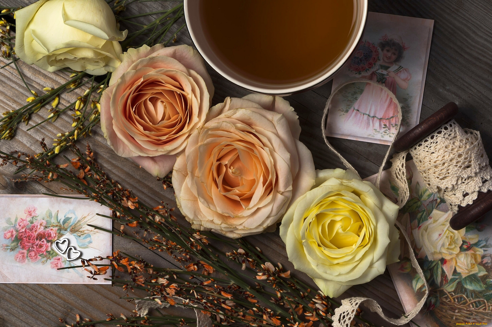 цветы, розы, тесьма, открытки, бутоны, ретро, винтаж, ветки, кружево