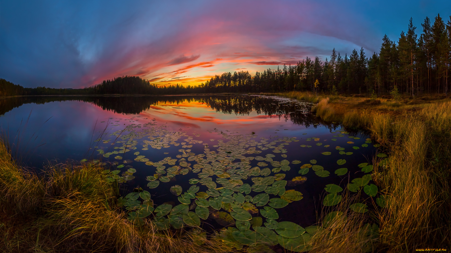 природа, реки, озера, рассвет