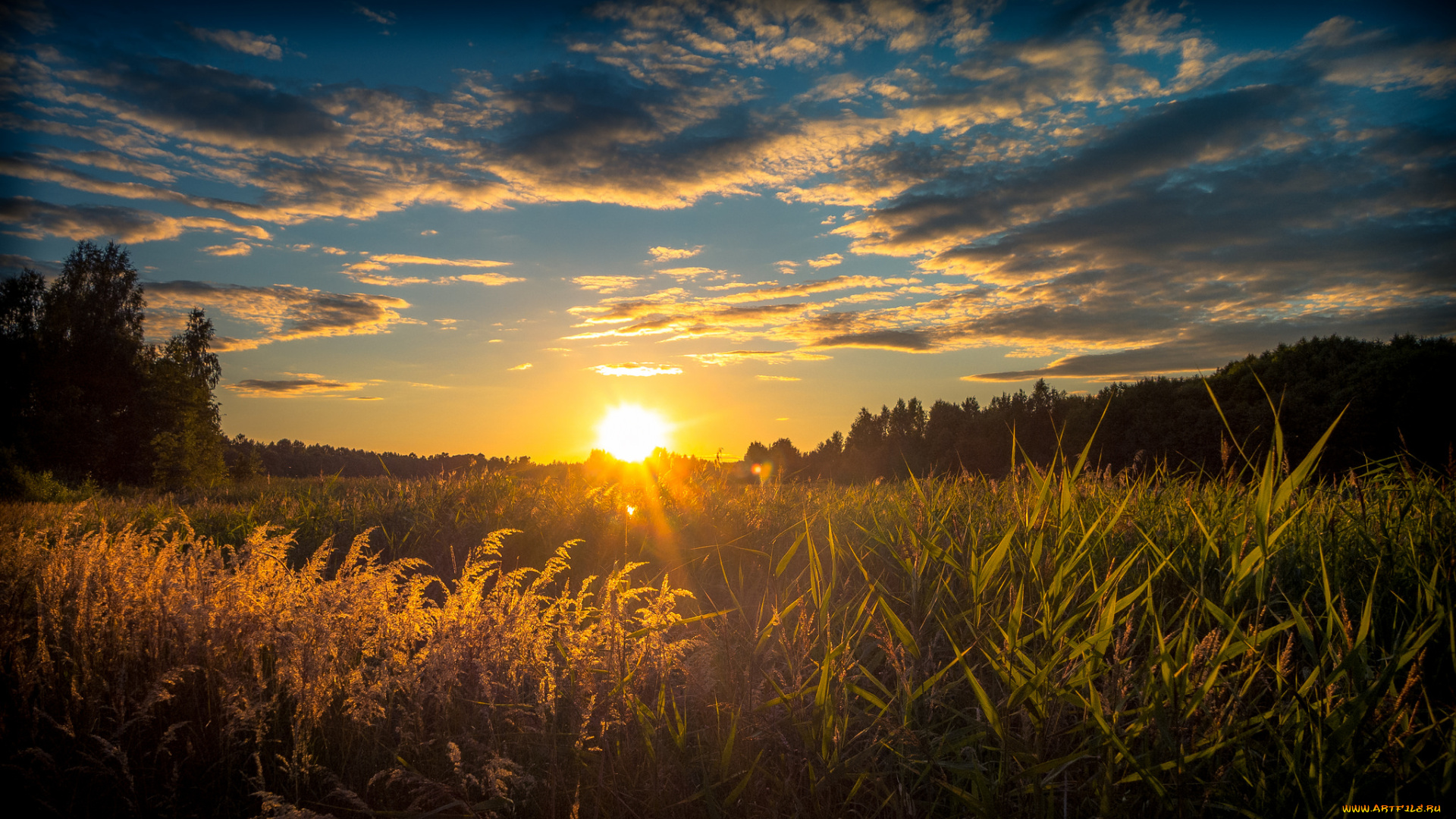 природа, восходы, закаты, рассвет