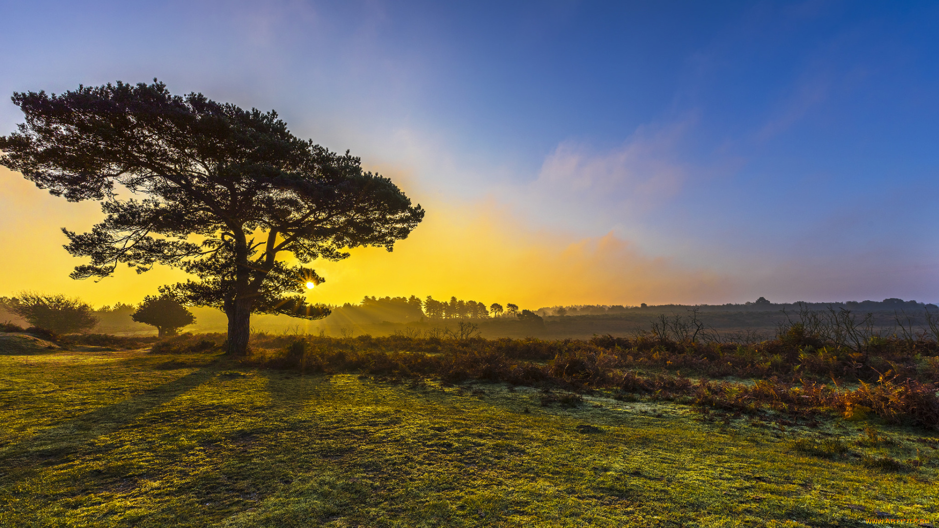 природа, восходы, закаты, рассвет