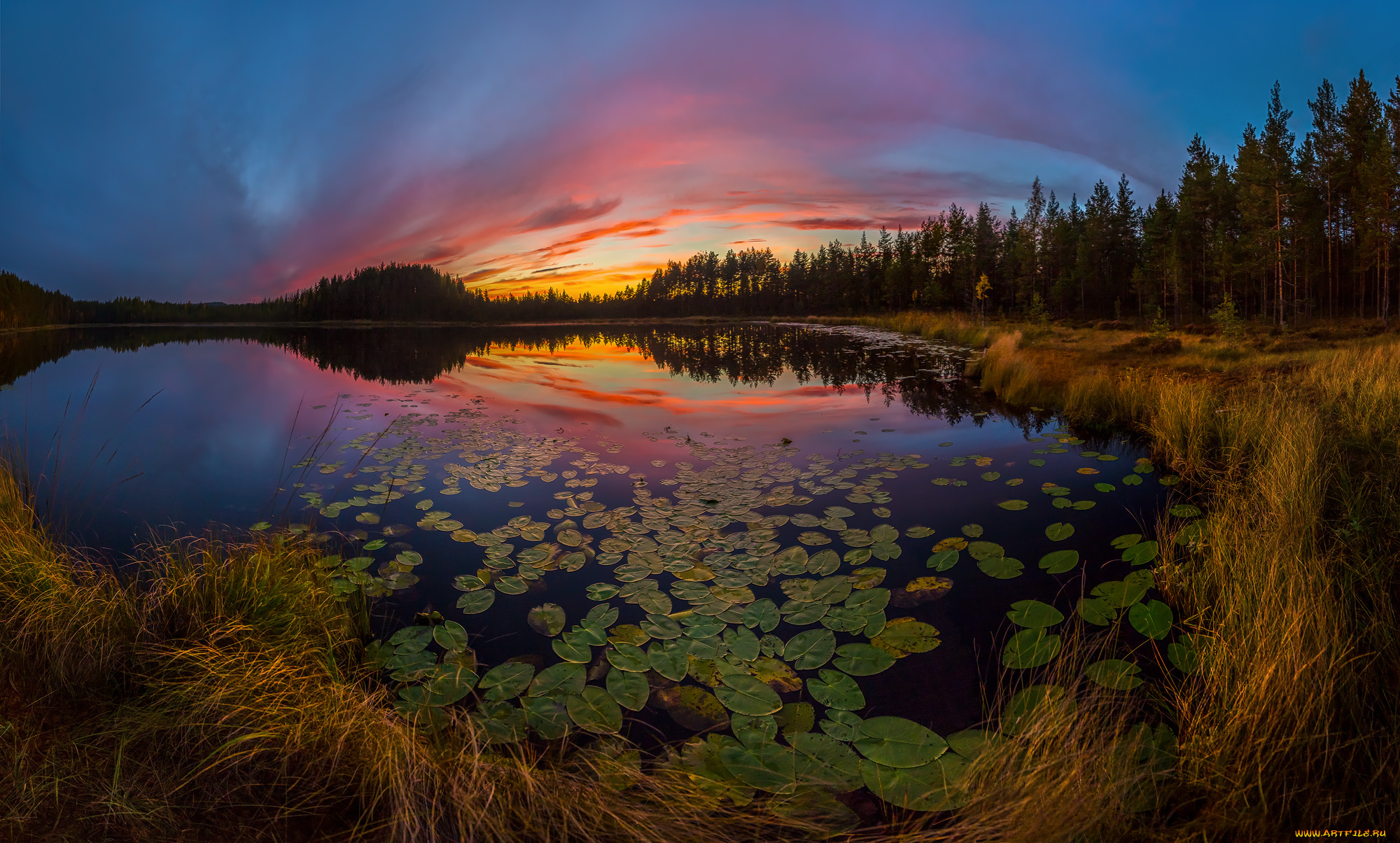 природа, реки, озера, рассвет