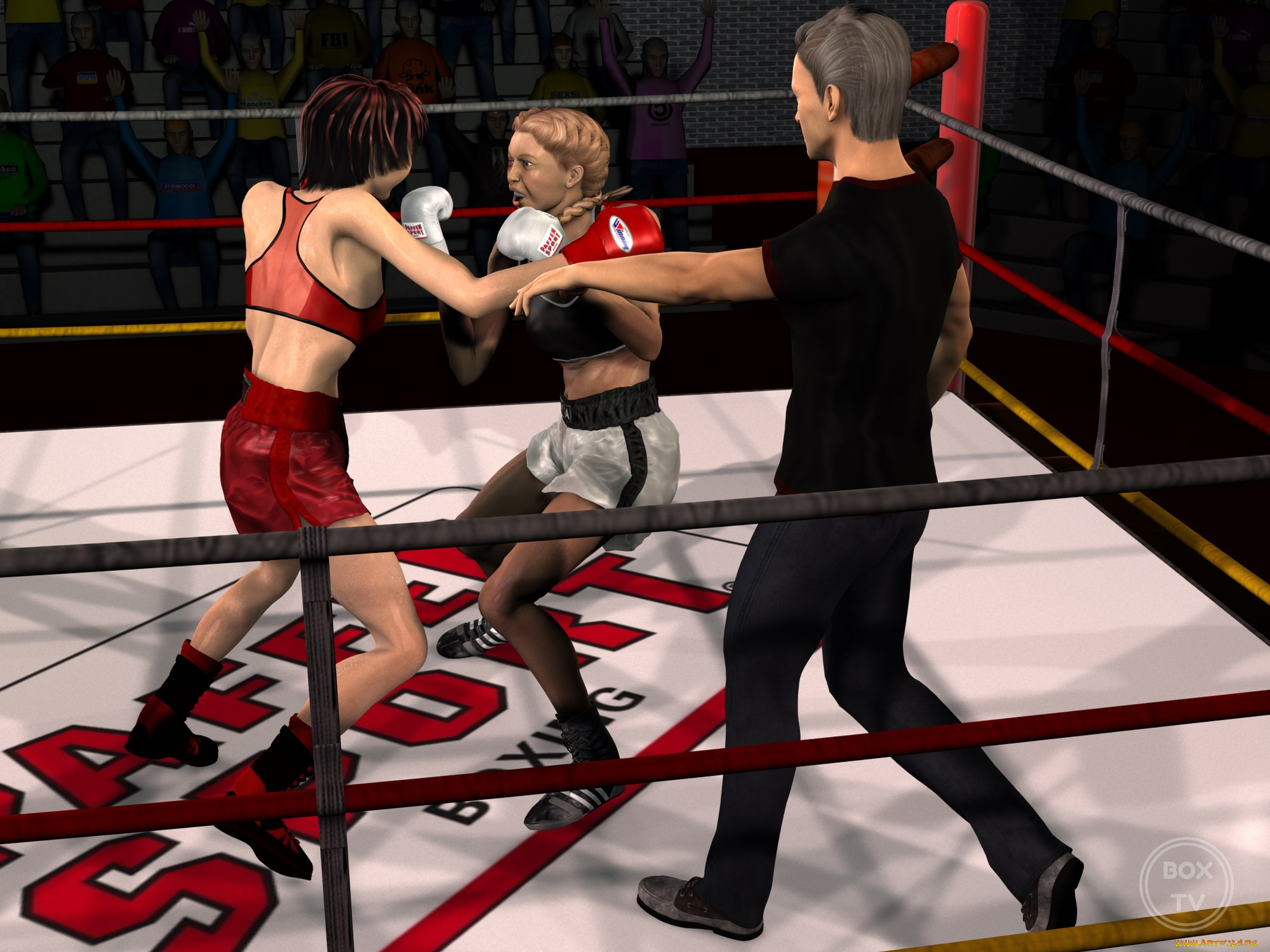 3д, графика, спорт, , sport, фон, девушки, ринг, бокс, взгляд