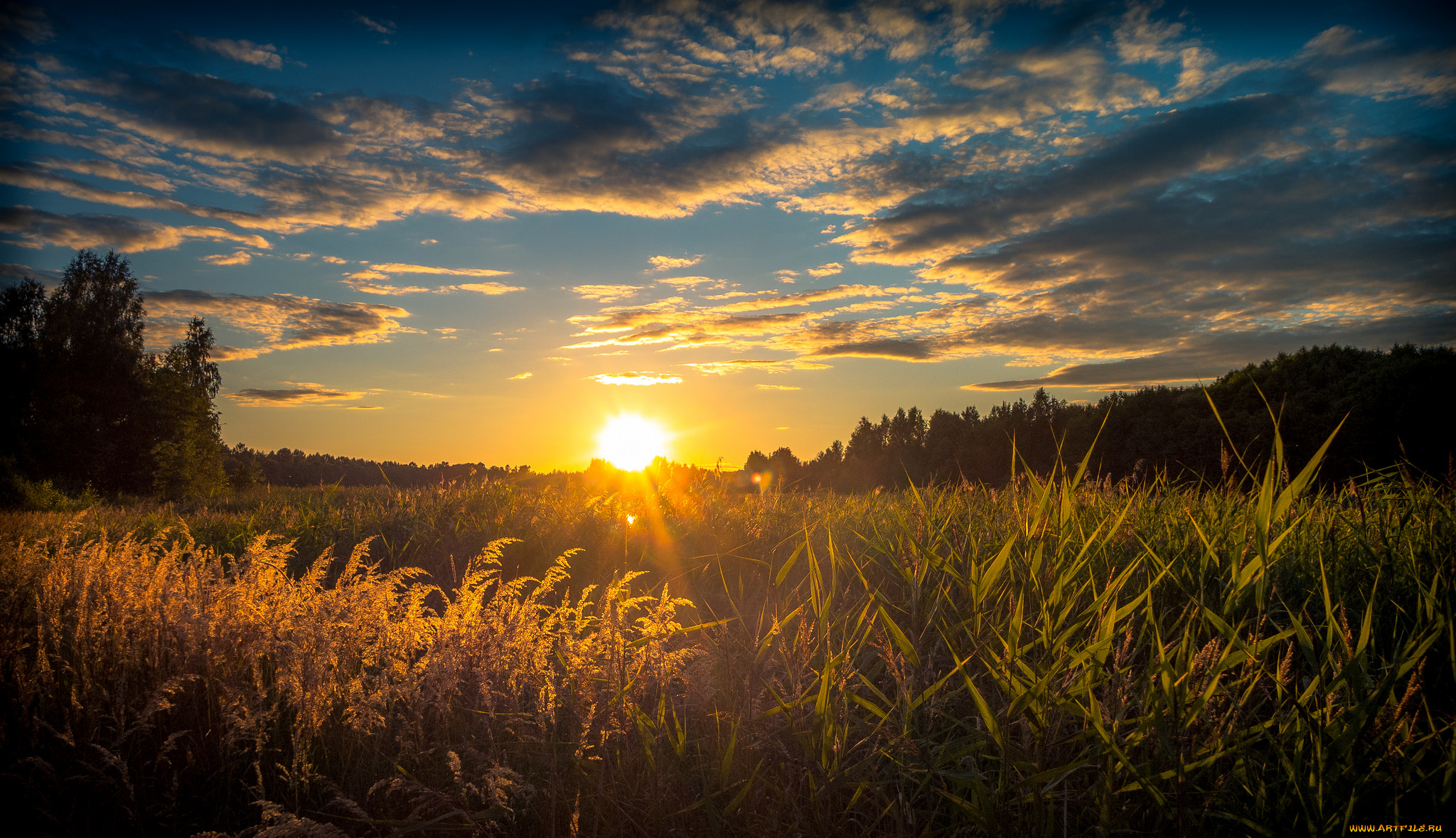 природа, восходы, закаты, рассвет