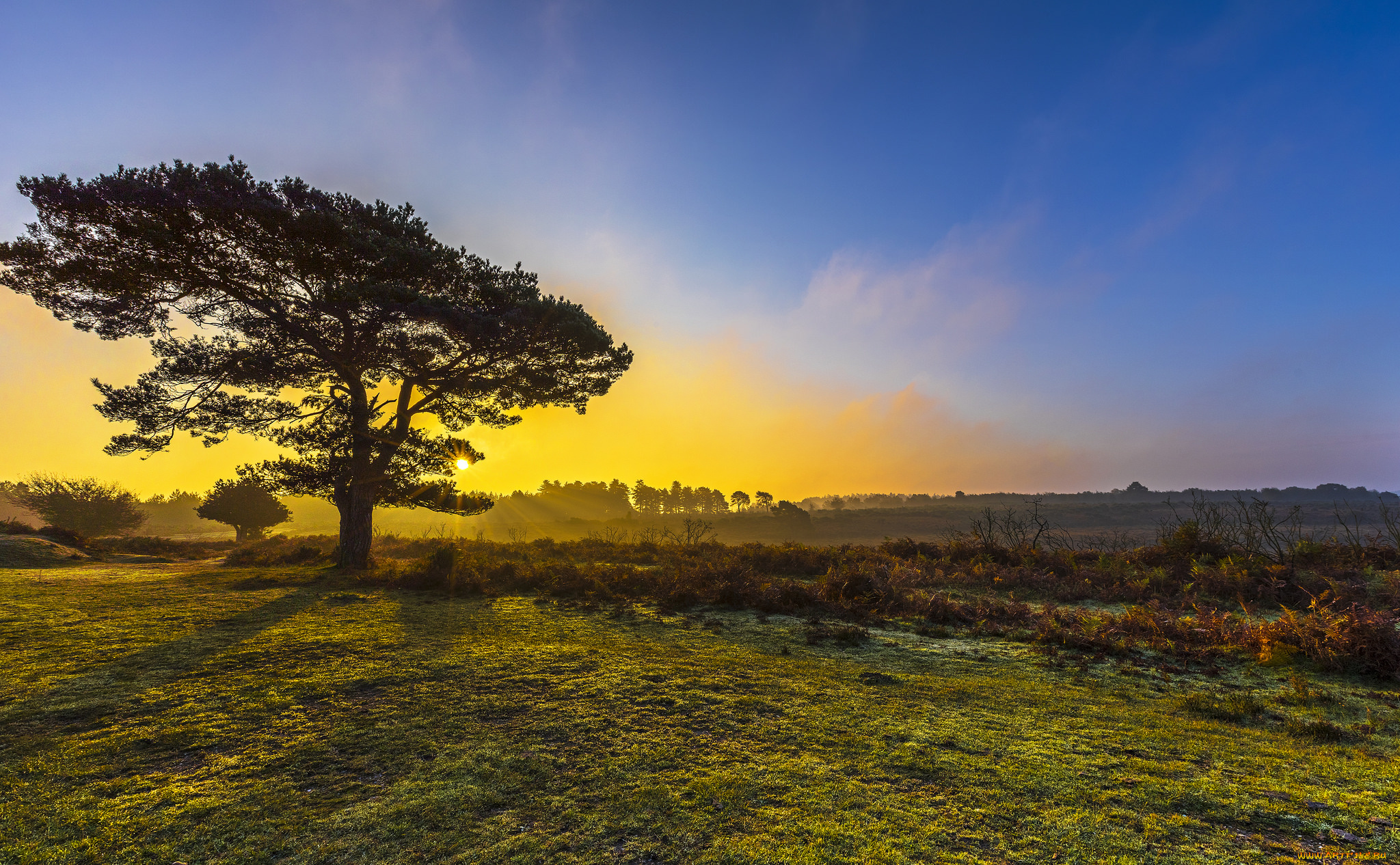 природа, восходы, закаты, рассвет