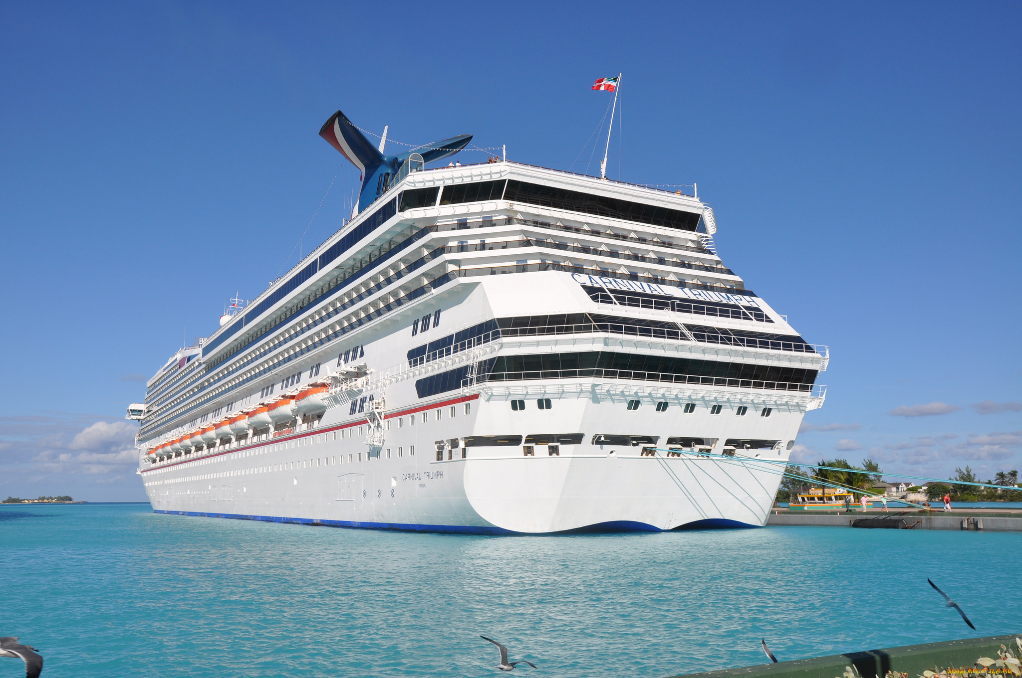 carnival, triumph, корабли, лайнеры, лайнер, круиз