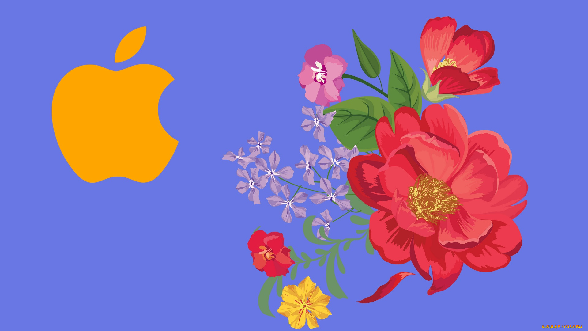 компьютеры, apple, логотип, фон