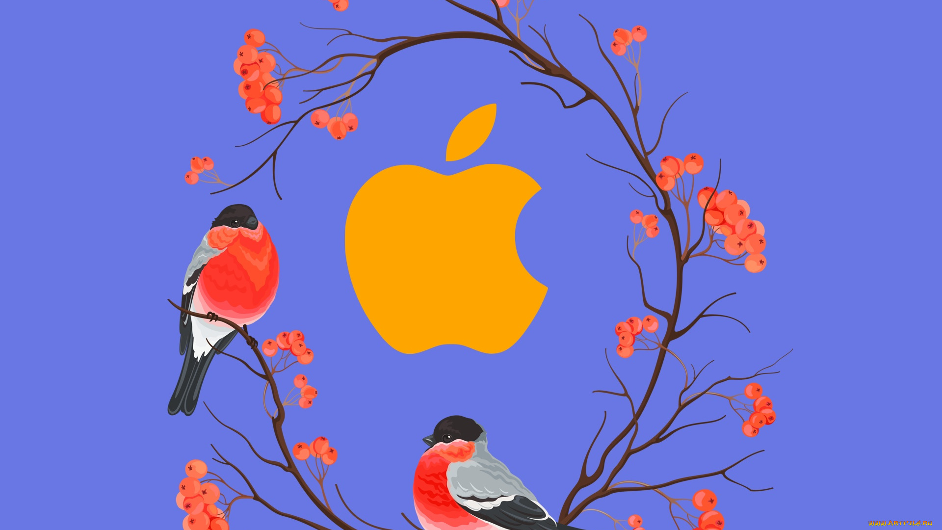 компьютеры, apple, логотип, фон