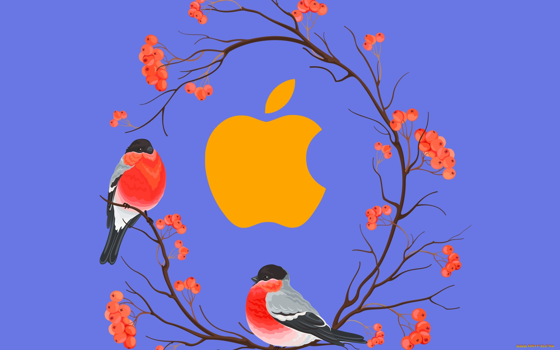 компьютеры, apple, логотип, фон