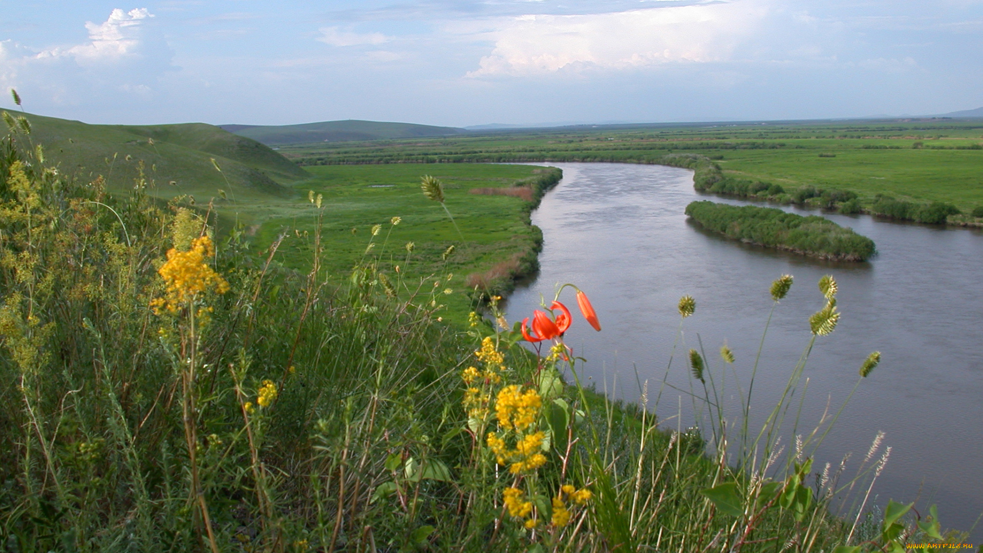 аргунь, природа, реки, озера, россия, забайкалье, река