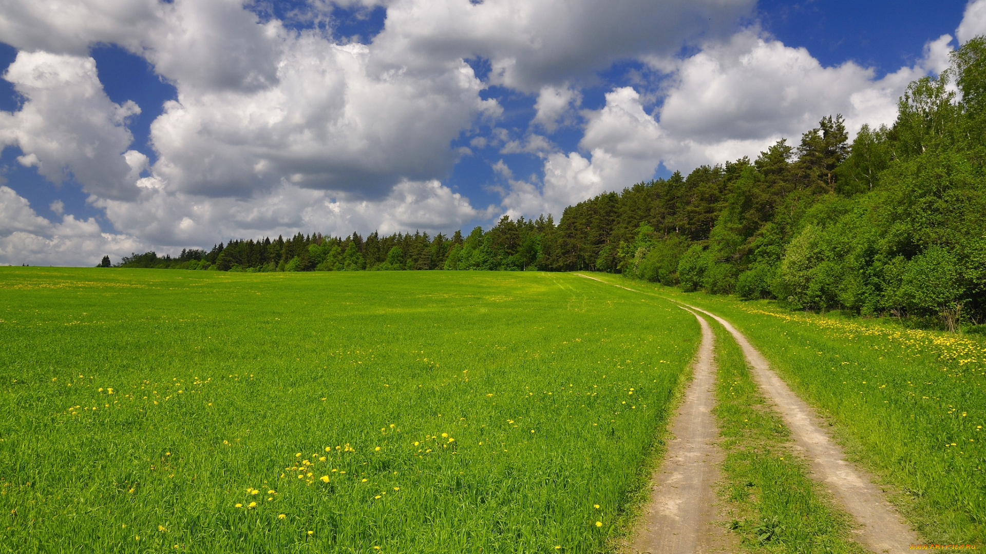 природа, дороги, дорога, поле