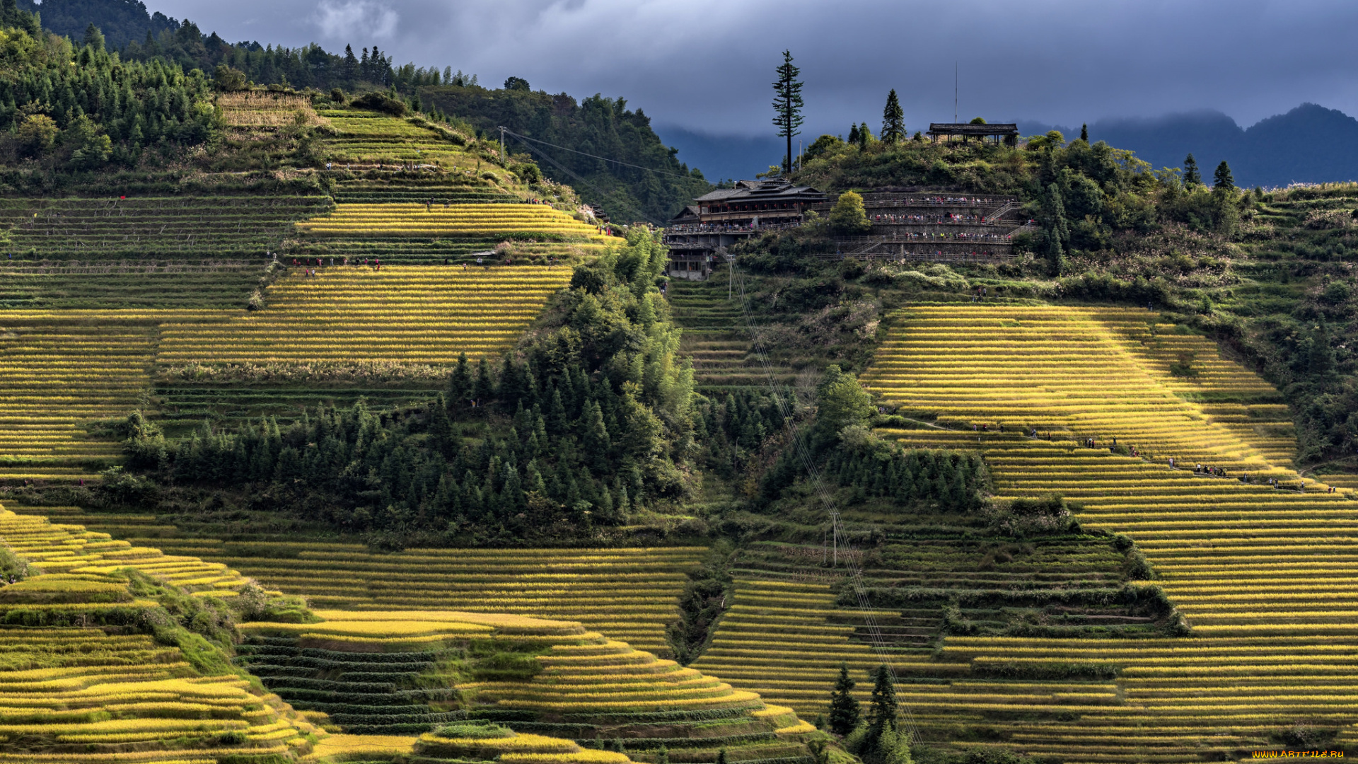 природа, пейзажи, простор