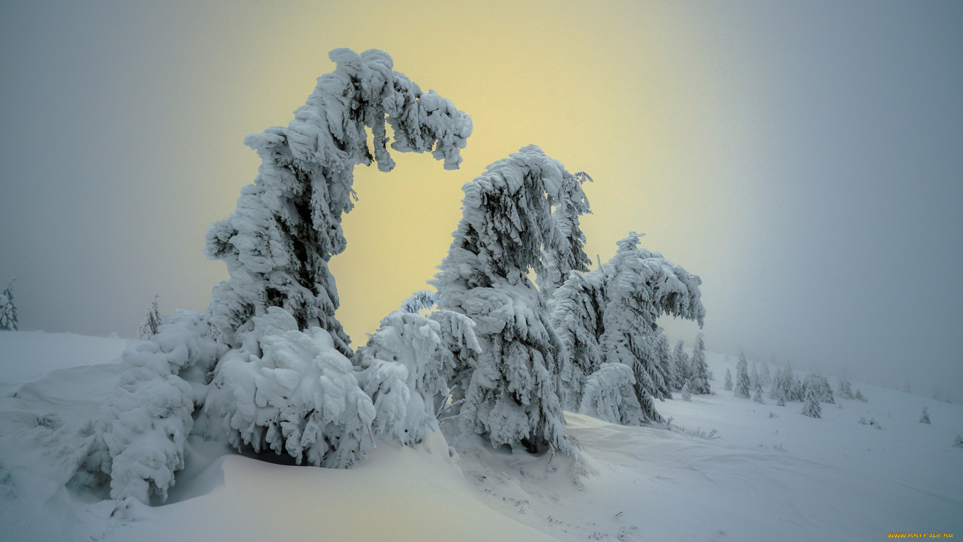 природа, зима, деревья