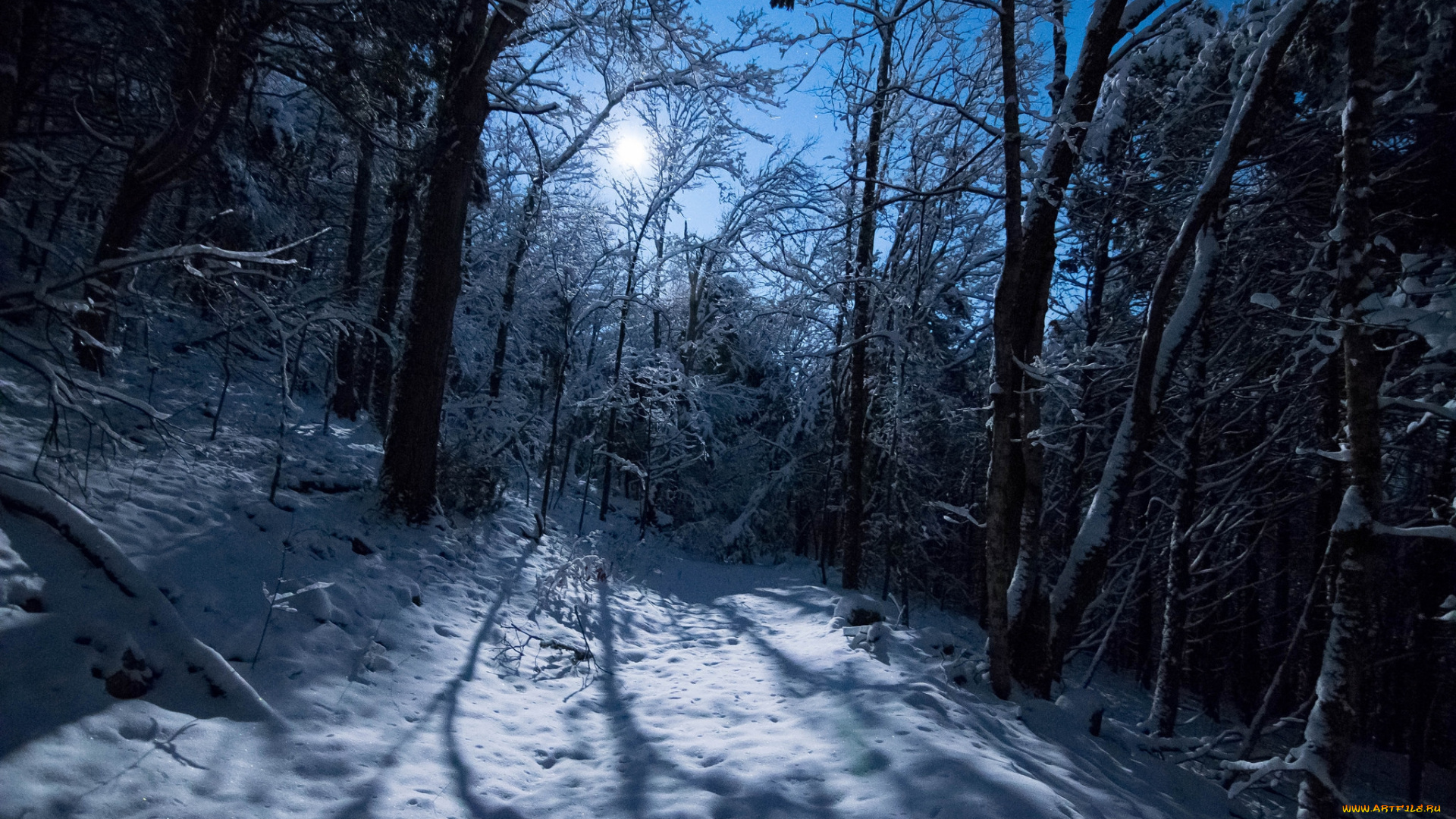 природа, зима, простор