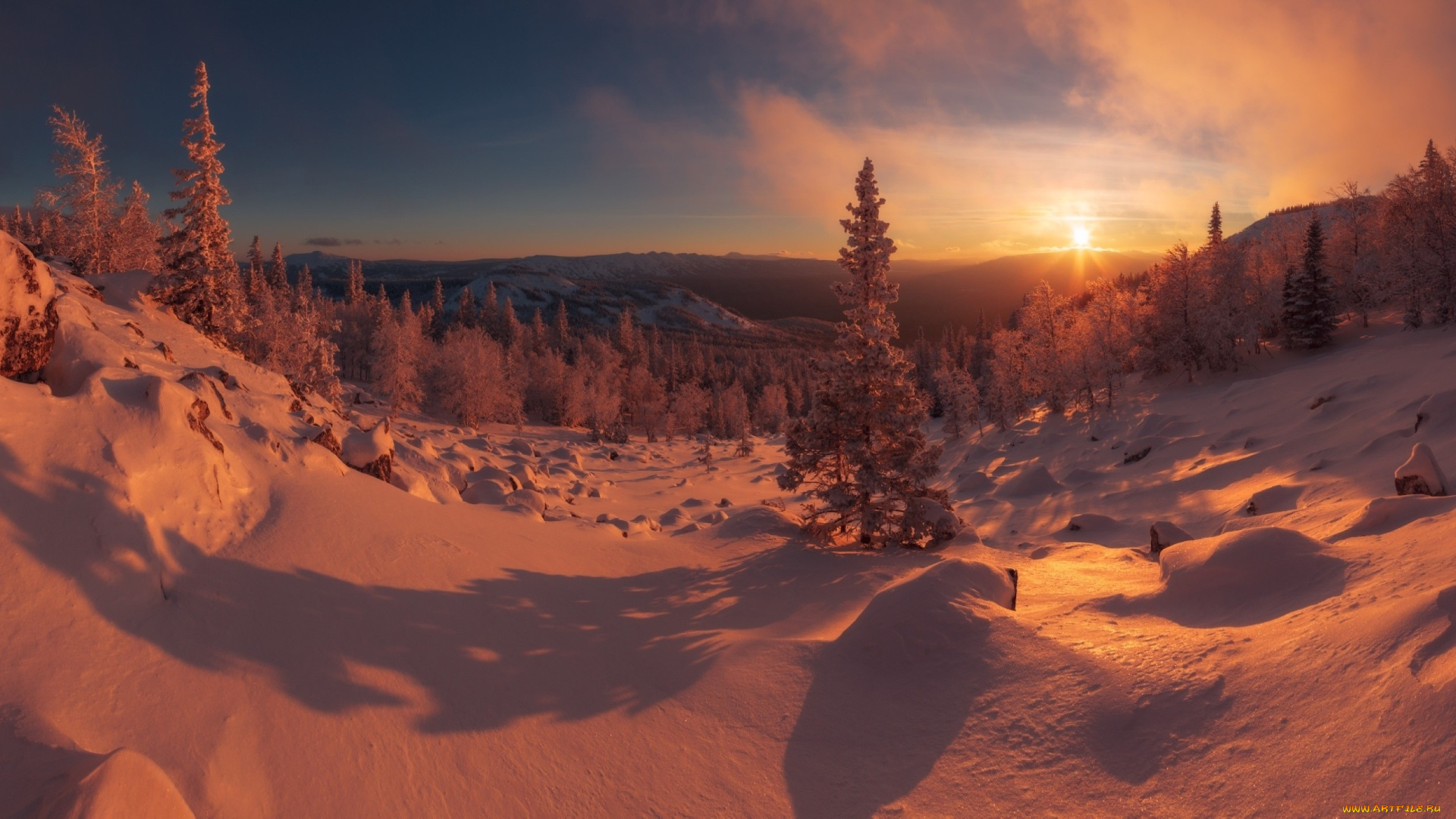 природа, зима, закат, деревья, снег