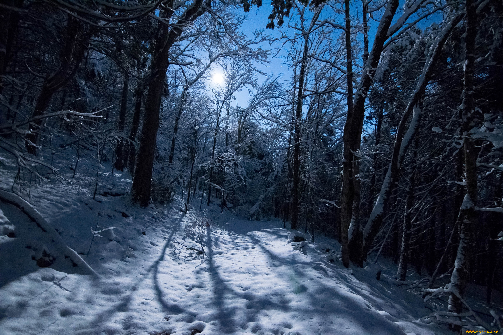 природа, зима, простор