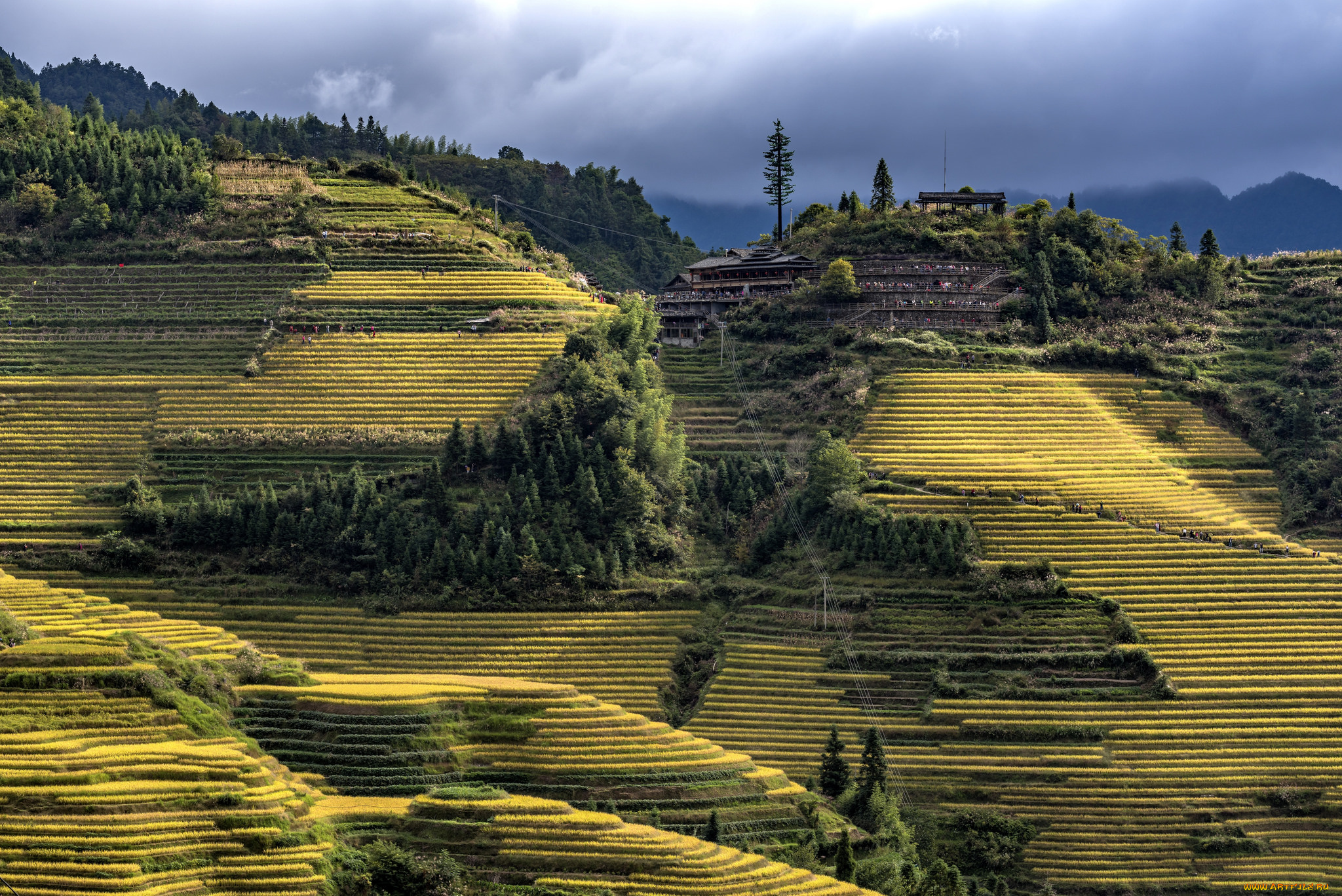 природа, пейзажи, простор