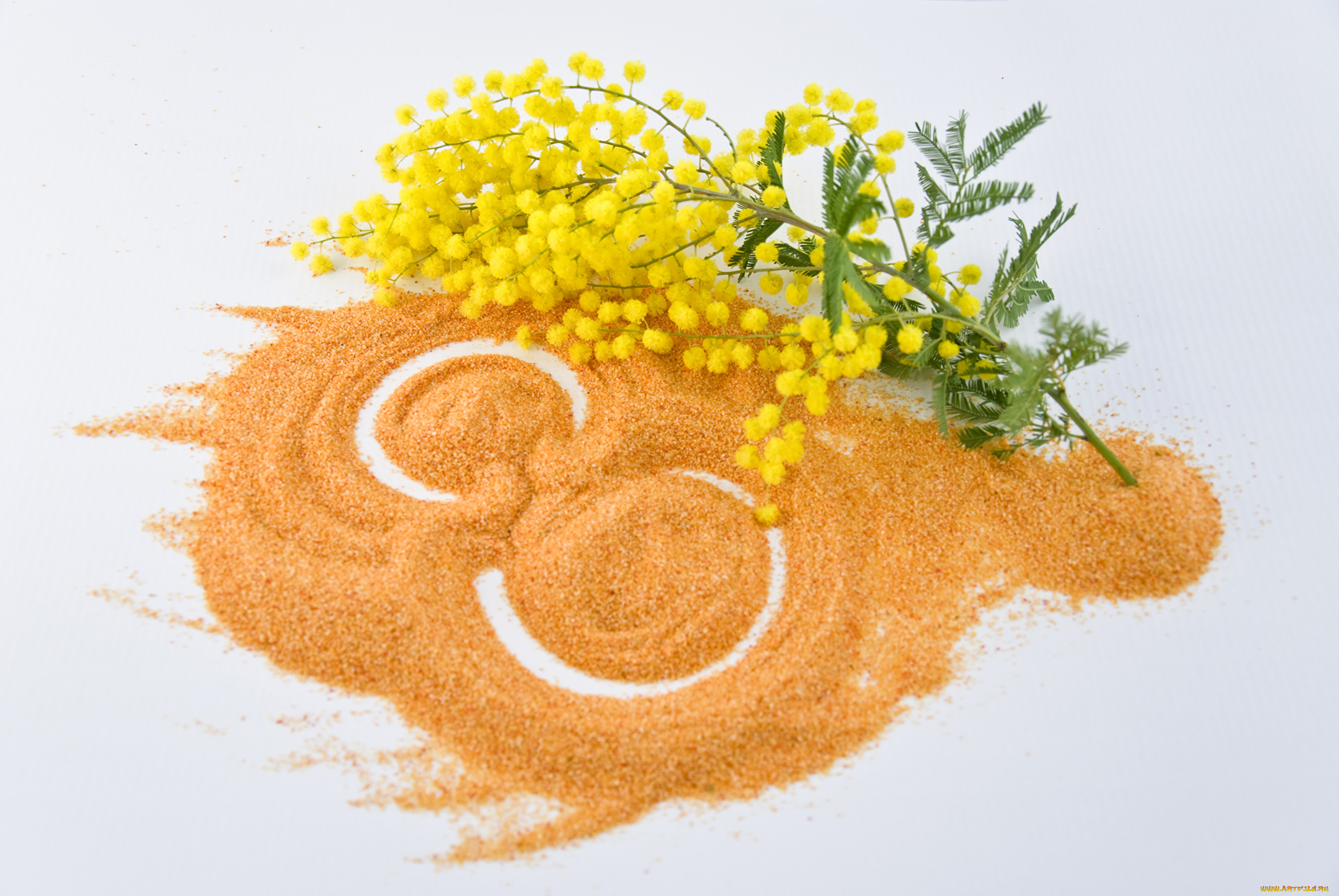 праздничные, международный, женский, день, -, 8, марта, 8, марта, цветы, праздник