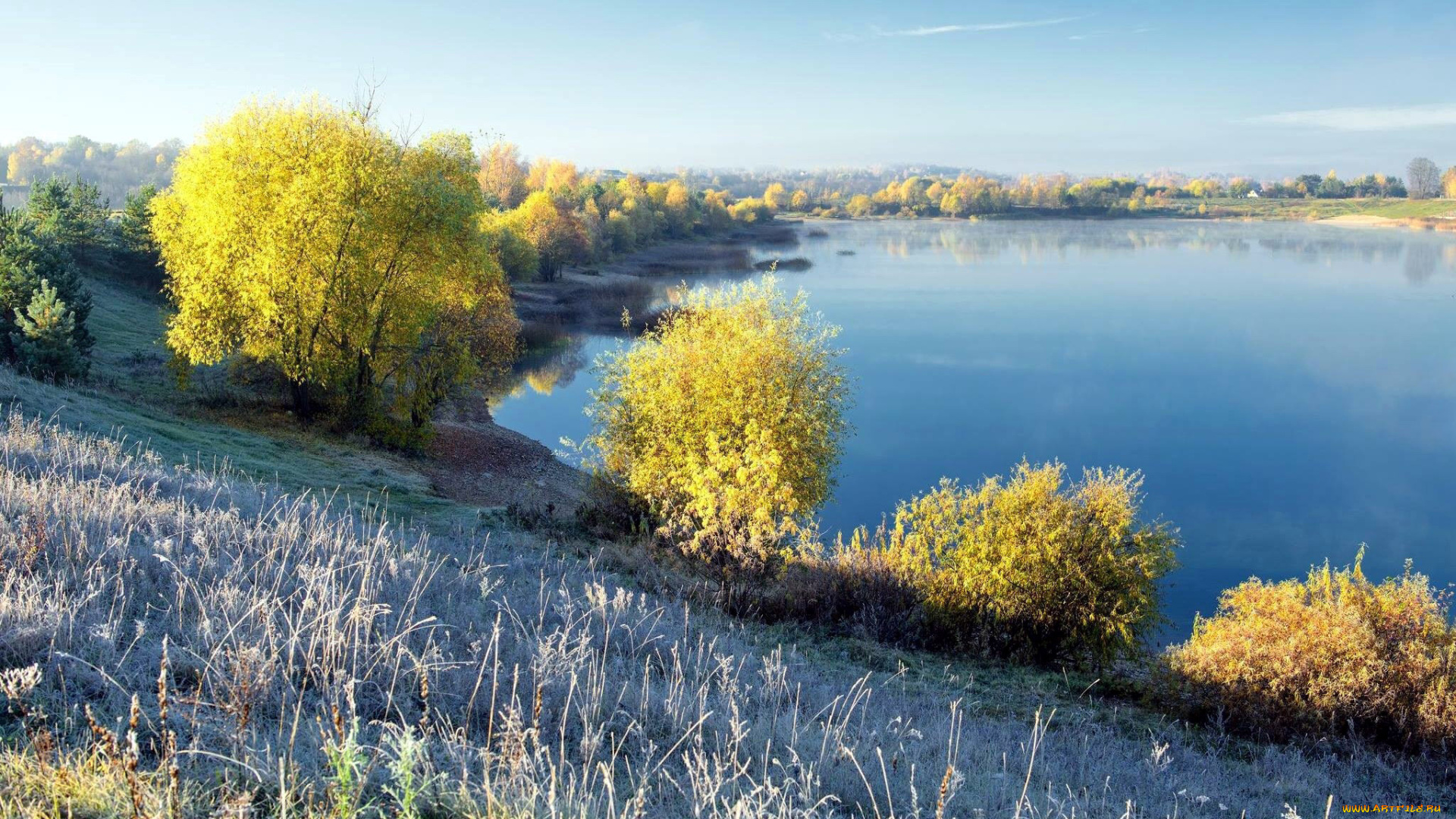 природа, реки, озера, река, деревья, осень