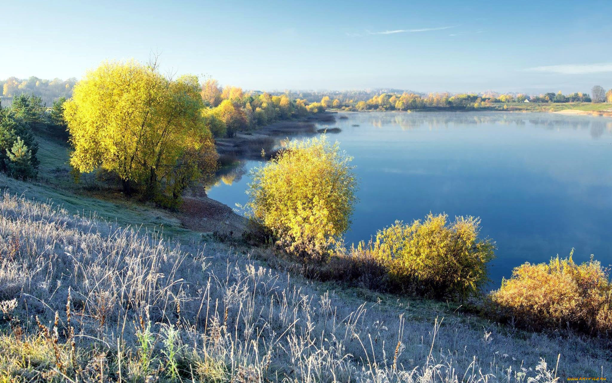 природа, реки, озера, река, деревья, осень