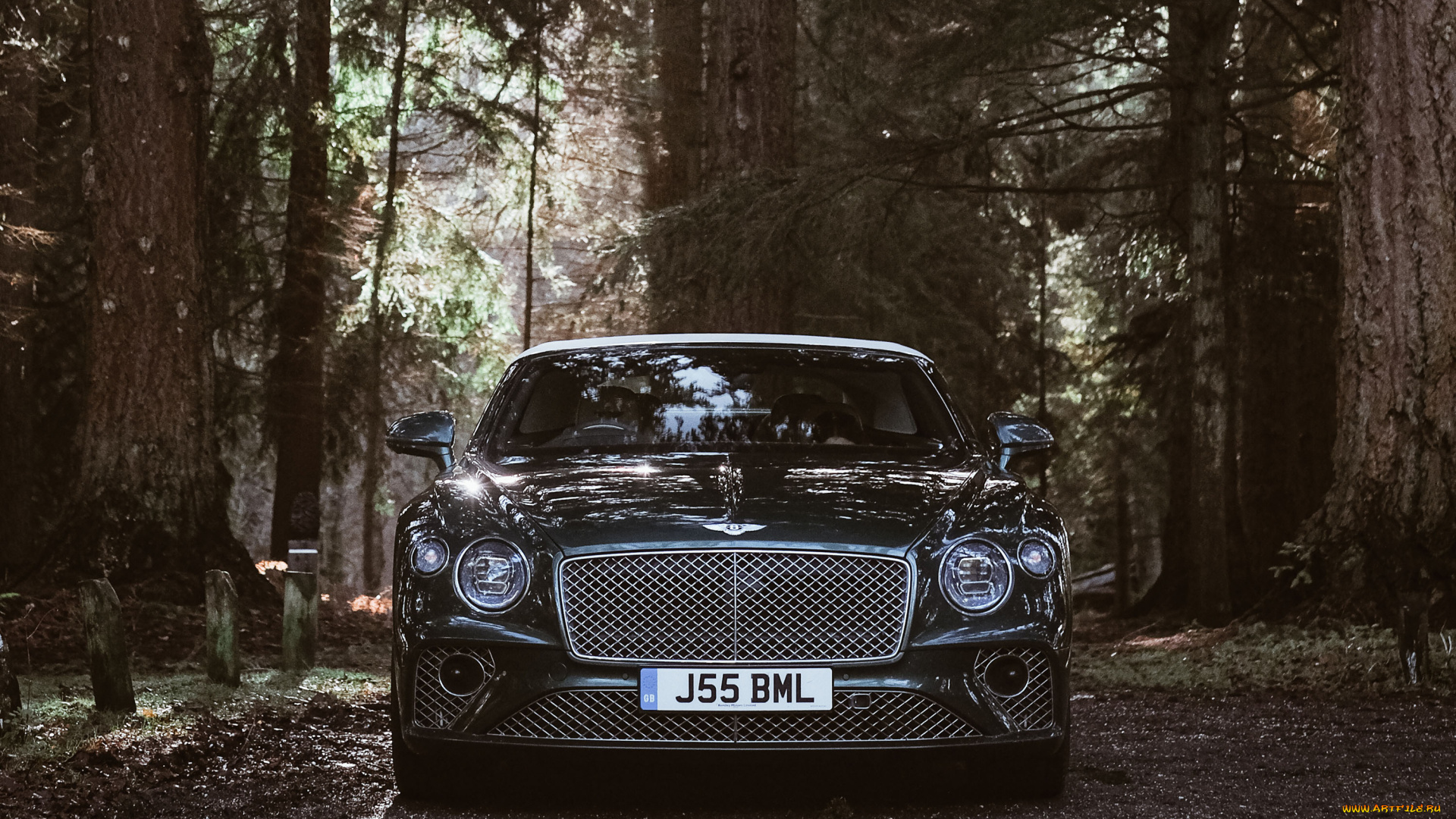 автомобили, bentley, mulsanne, 675, edition, 2021, вид, спереди, экстерьер, новый, британские, лес, природа