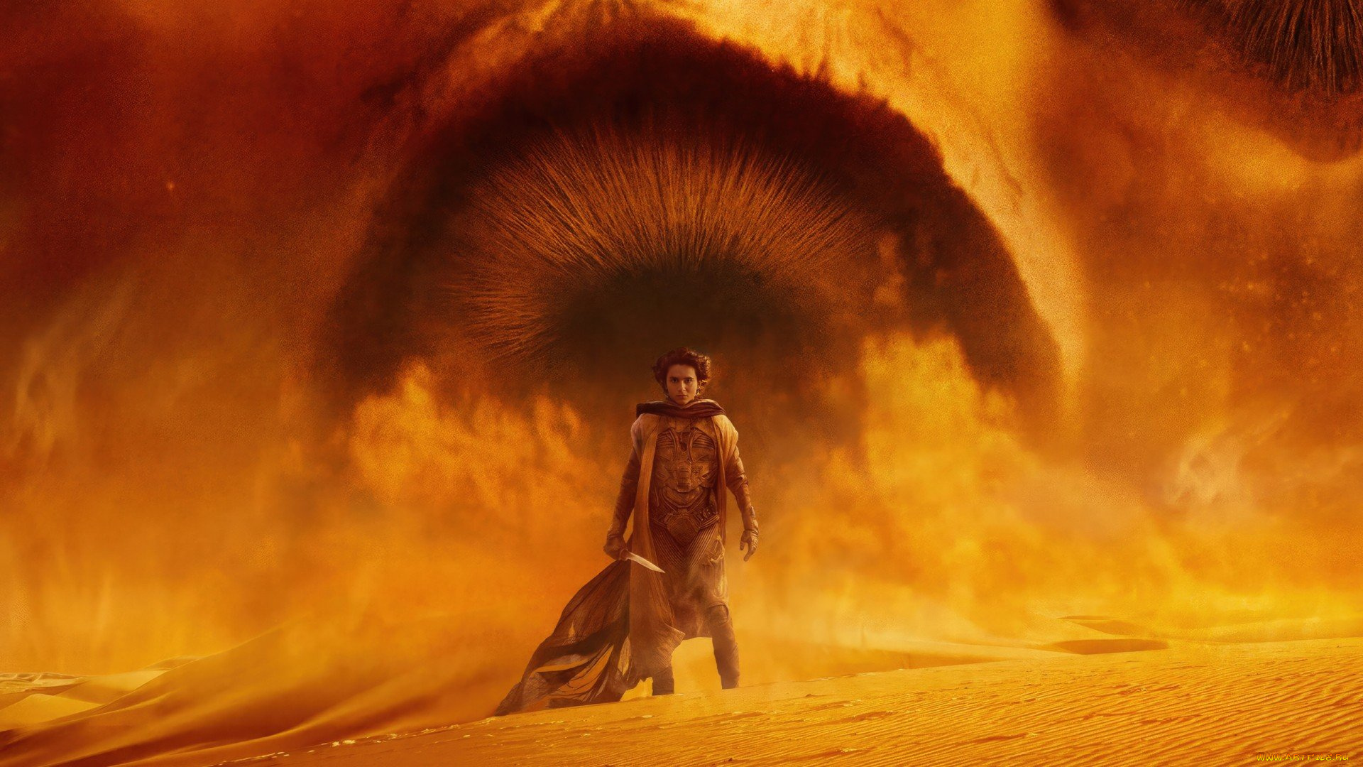 3д, графика, мультфильмы, , кино, , видео, игры, dune, part, two