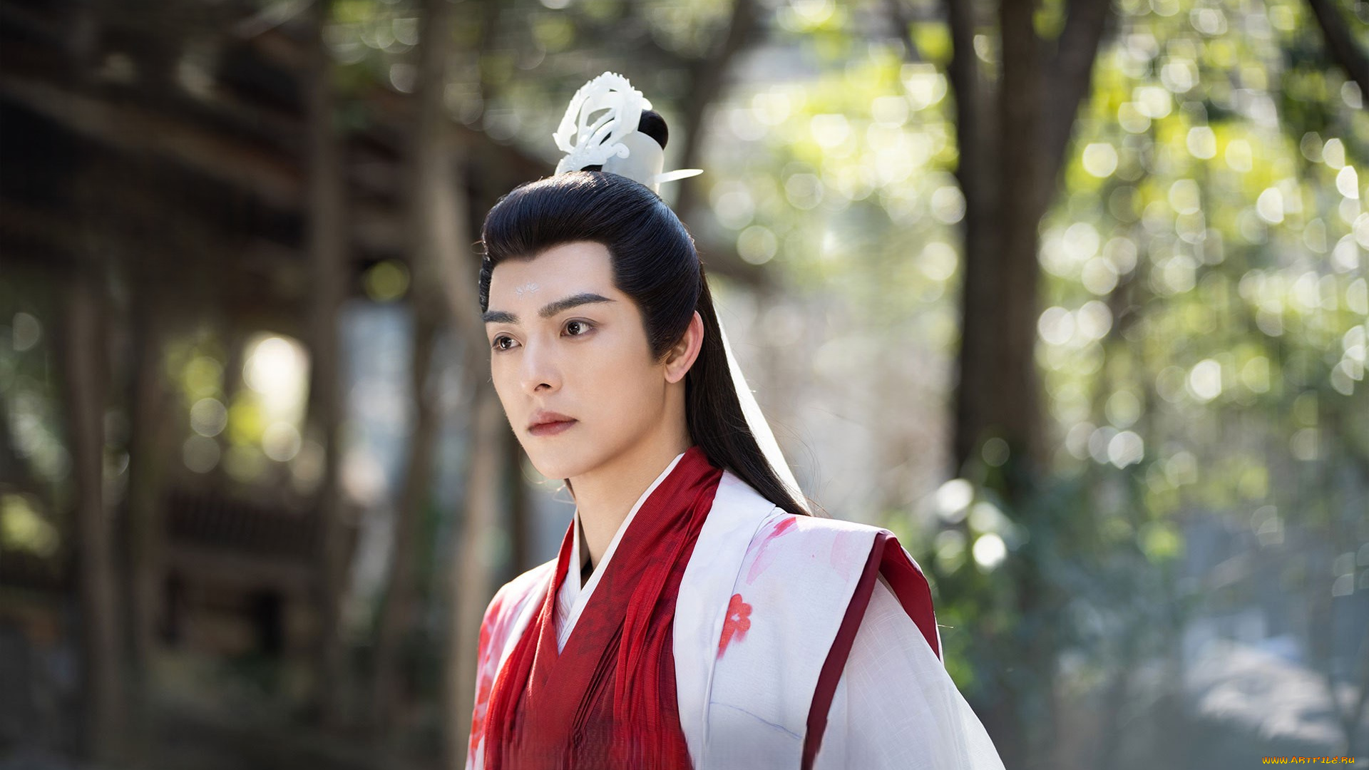 кино, фильмы, love, of, petals, ван, хао, сюань, love, of, petals