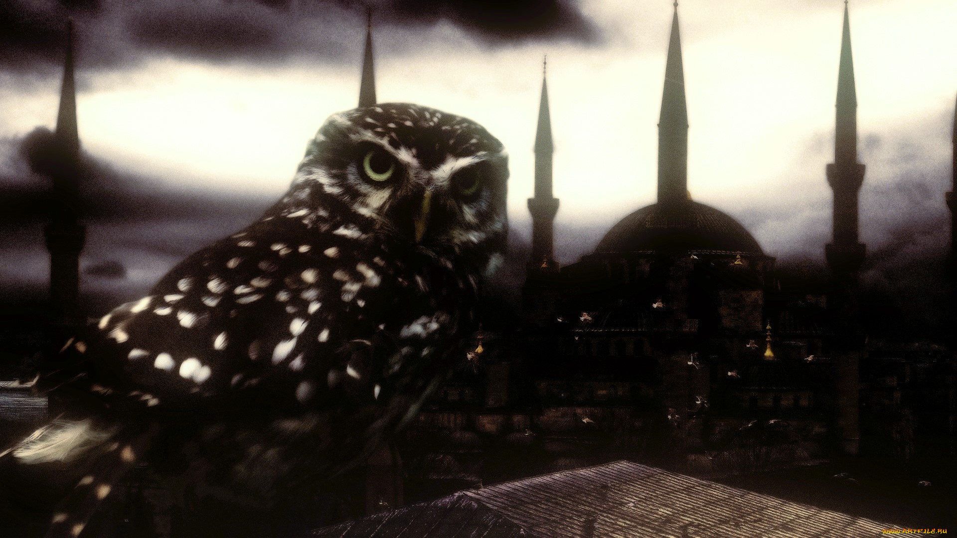 разное, компьютерный, дизайн, сова, город, мечеть