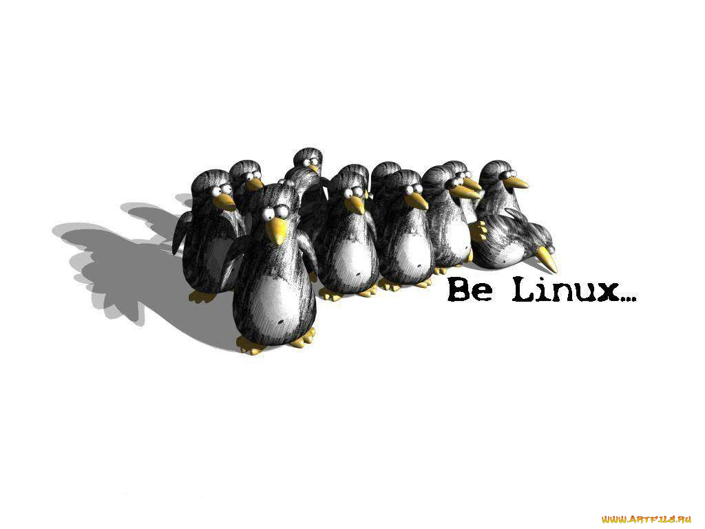 компьютеры, linux