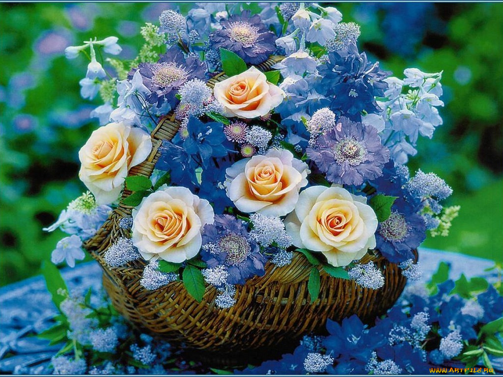 цветы, букеты, композиции