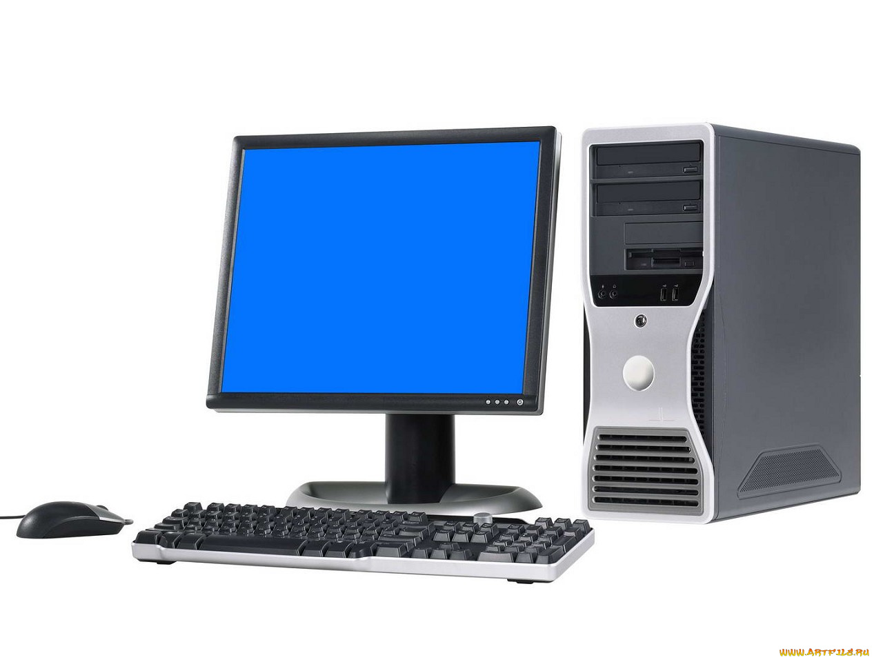 компьютеры, мониторы, ноутбуки