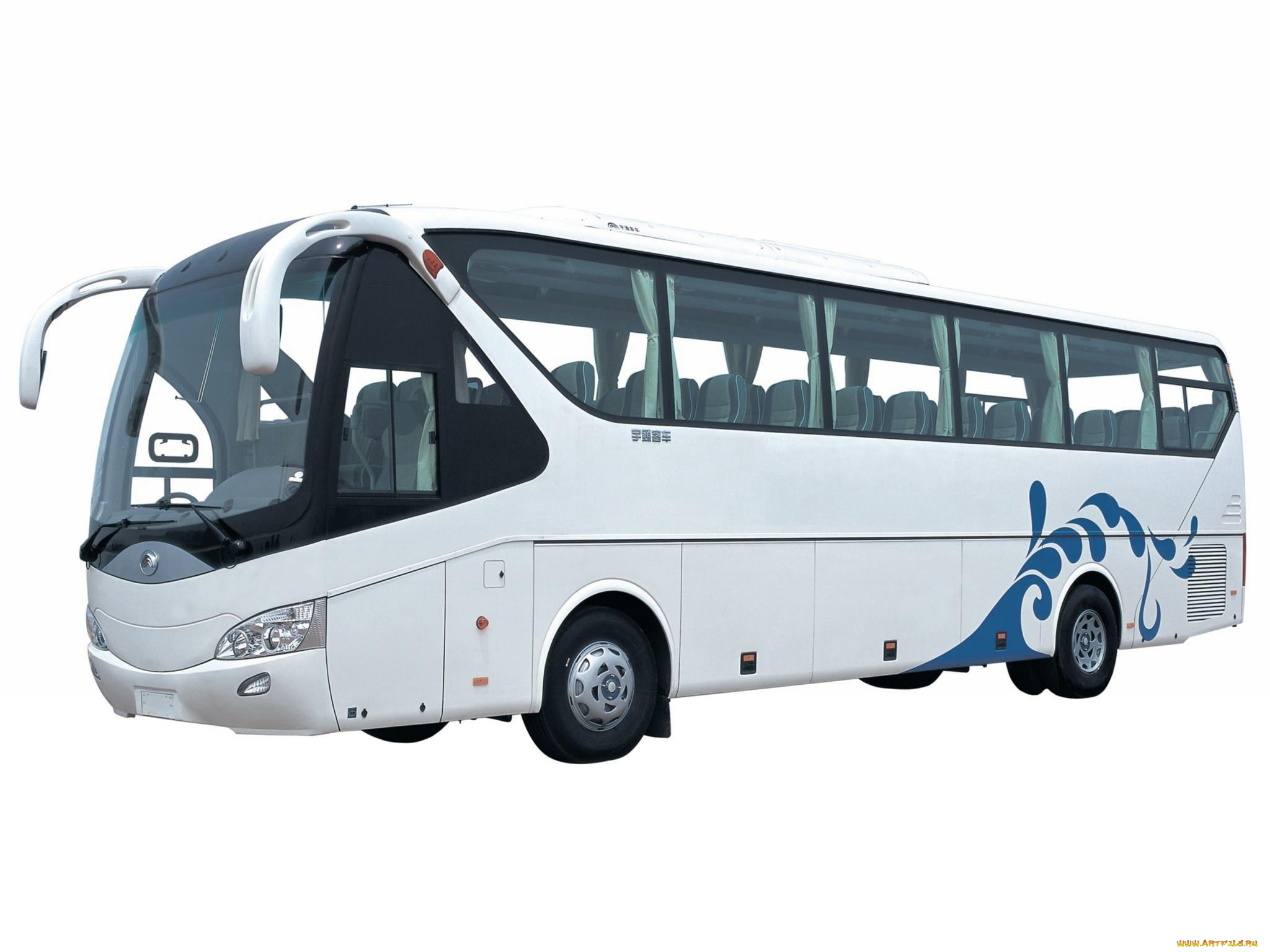 автомобили, автобусы