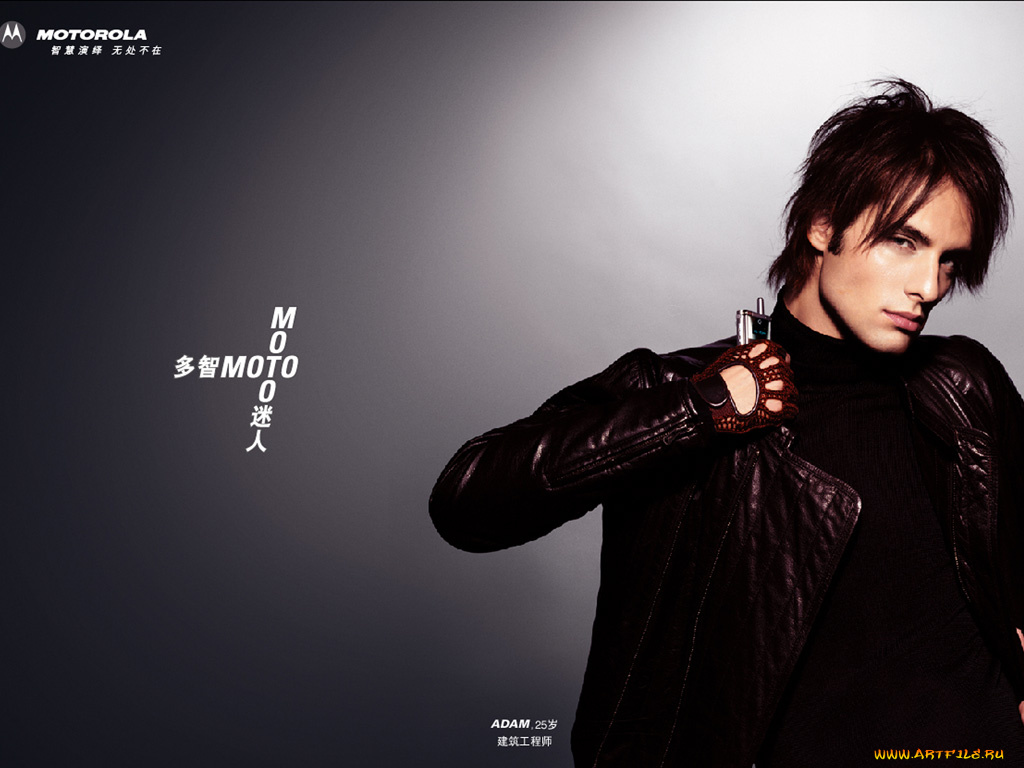 бренды, motorola