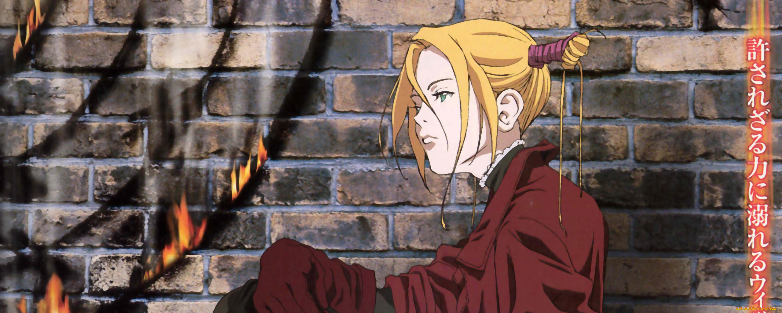 аниме, witch, hunter, robin