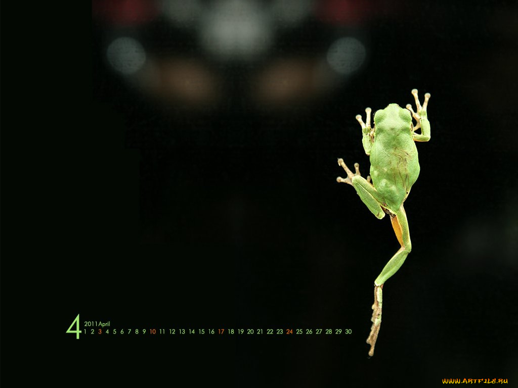 календари, животные