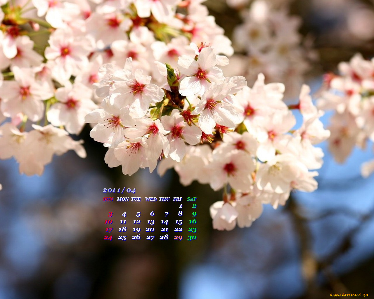 календари, цветы