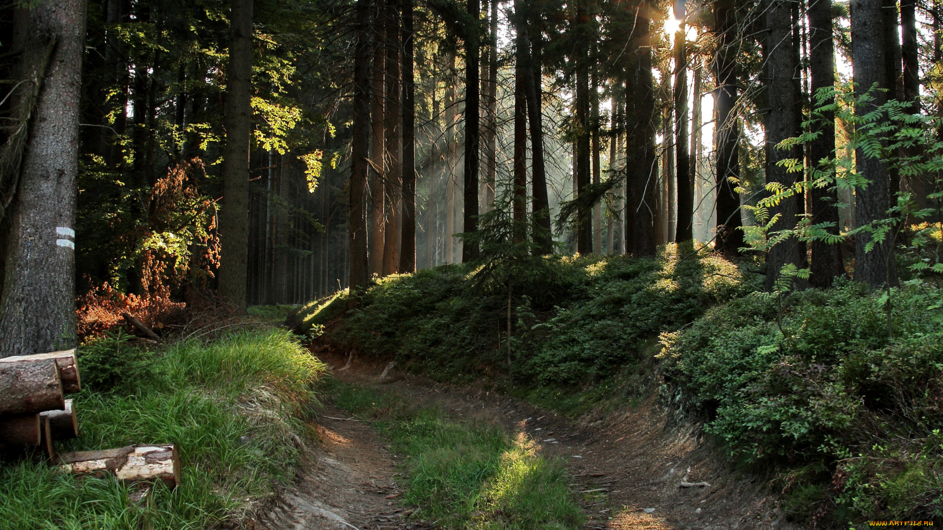 природа, дороги, Чехия, карловарский, край