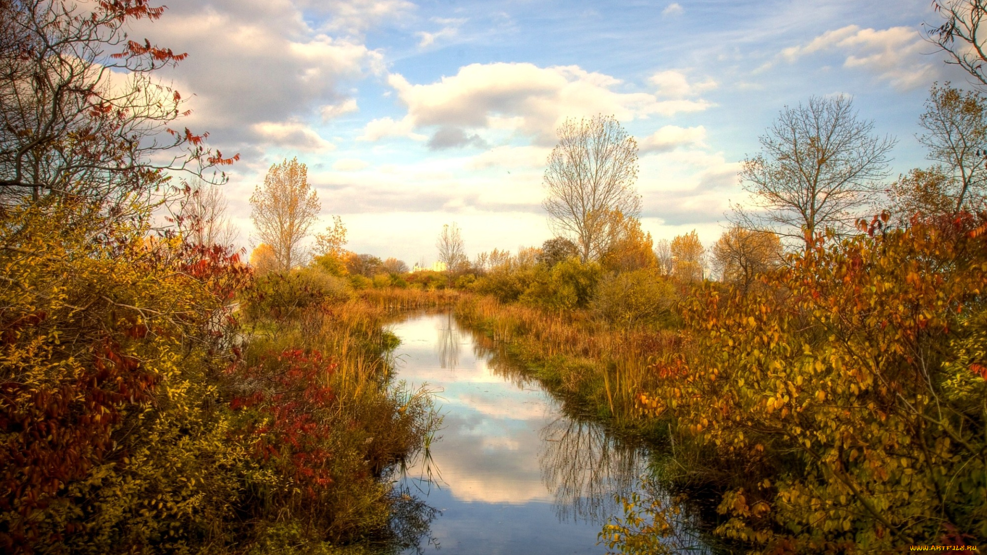 природа, реки, озера, осень, вода, кусты