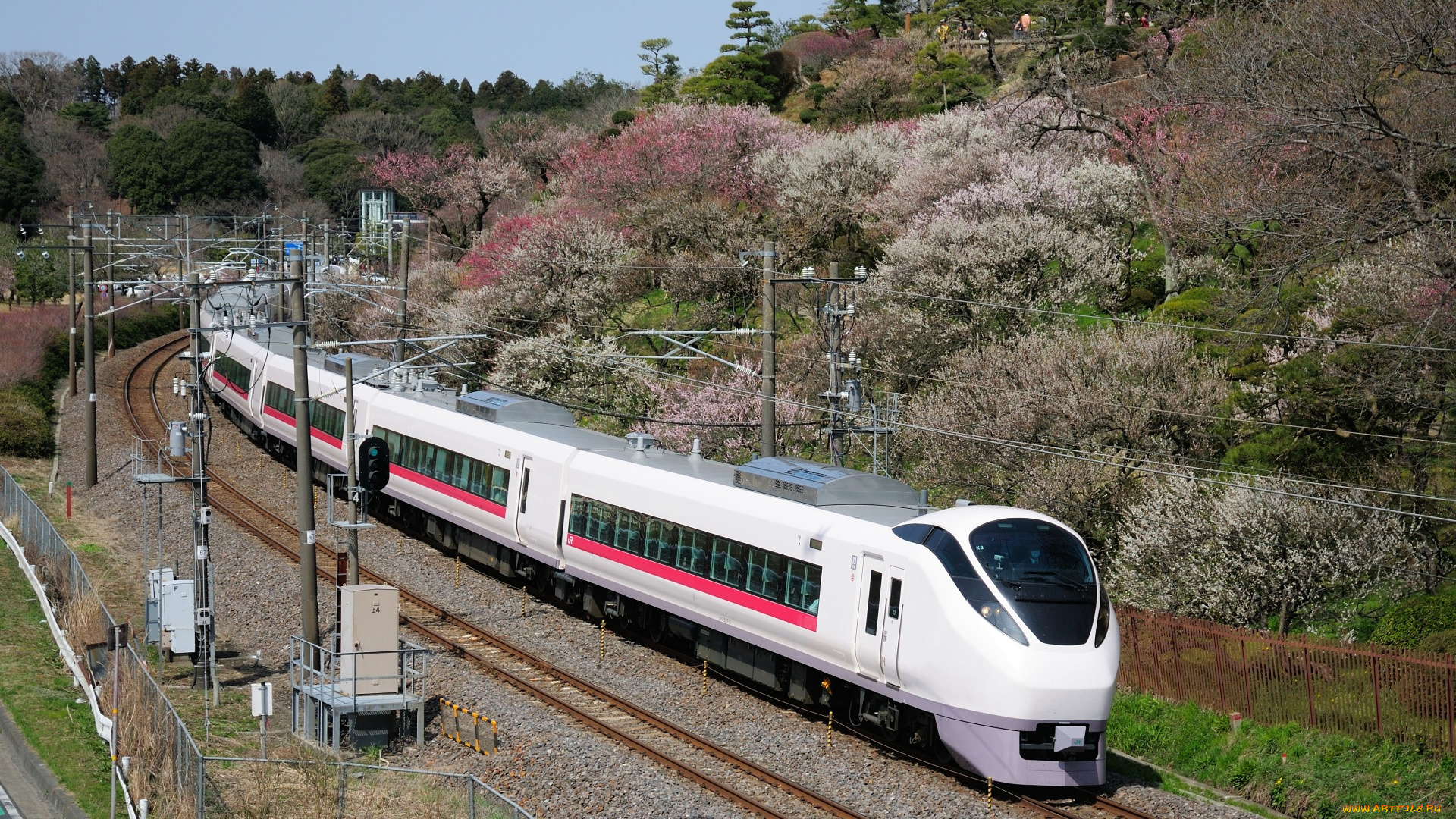 техника, поезда, поезд