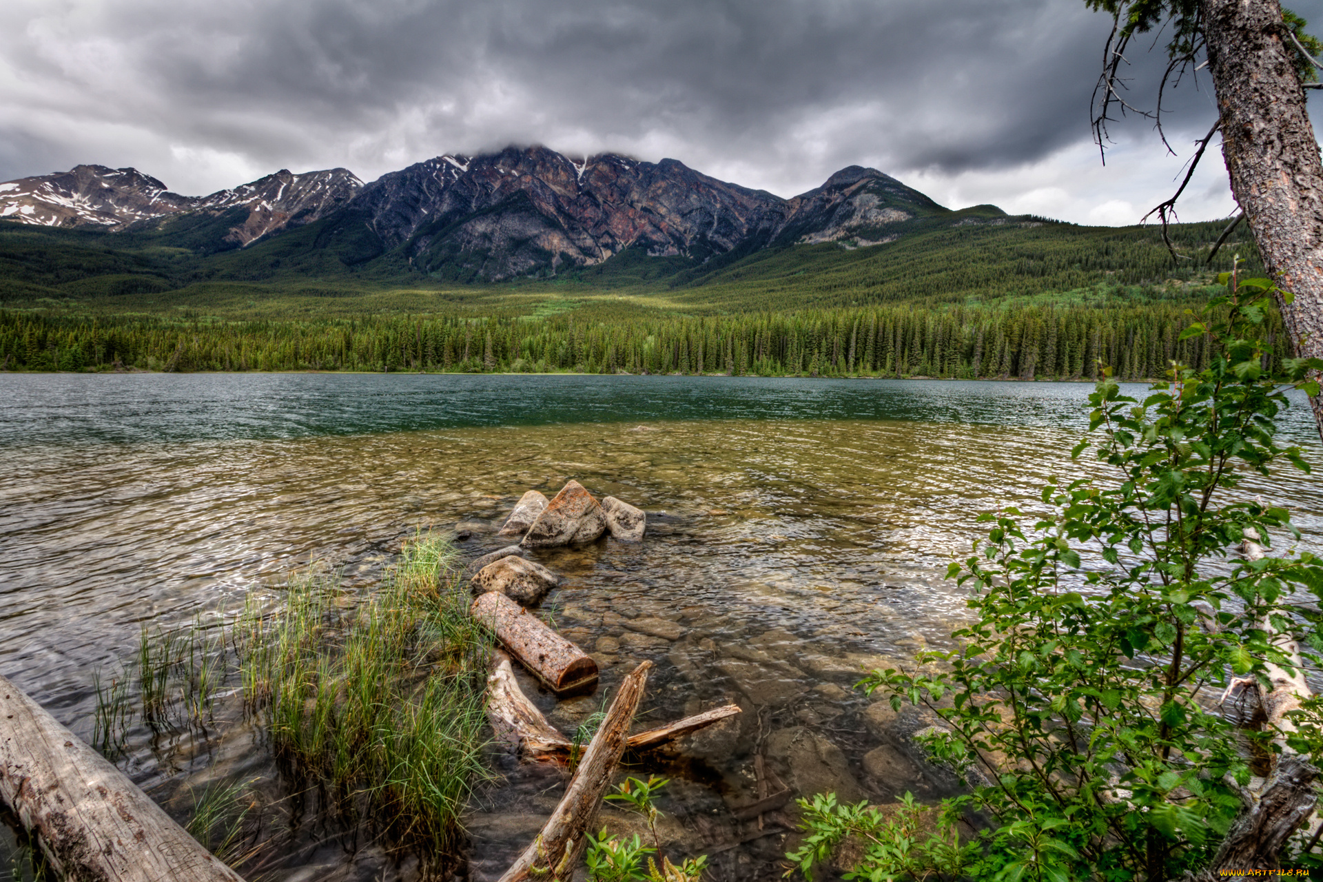 природа, реки, озера, горы, небо, лес, река