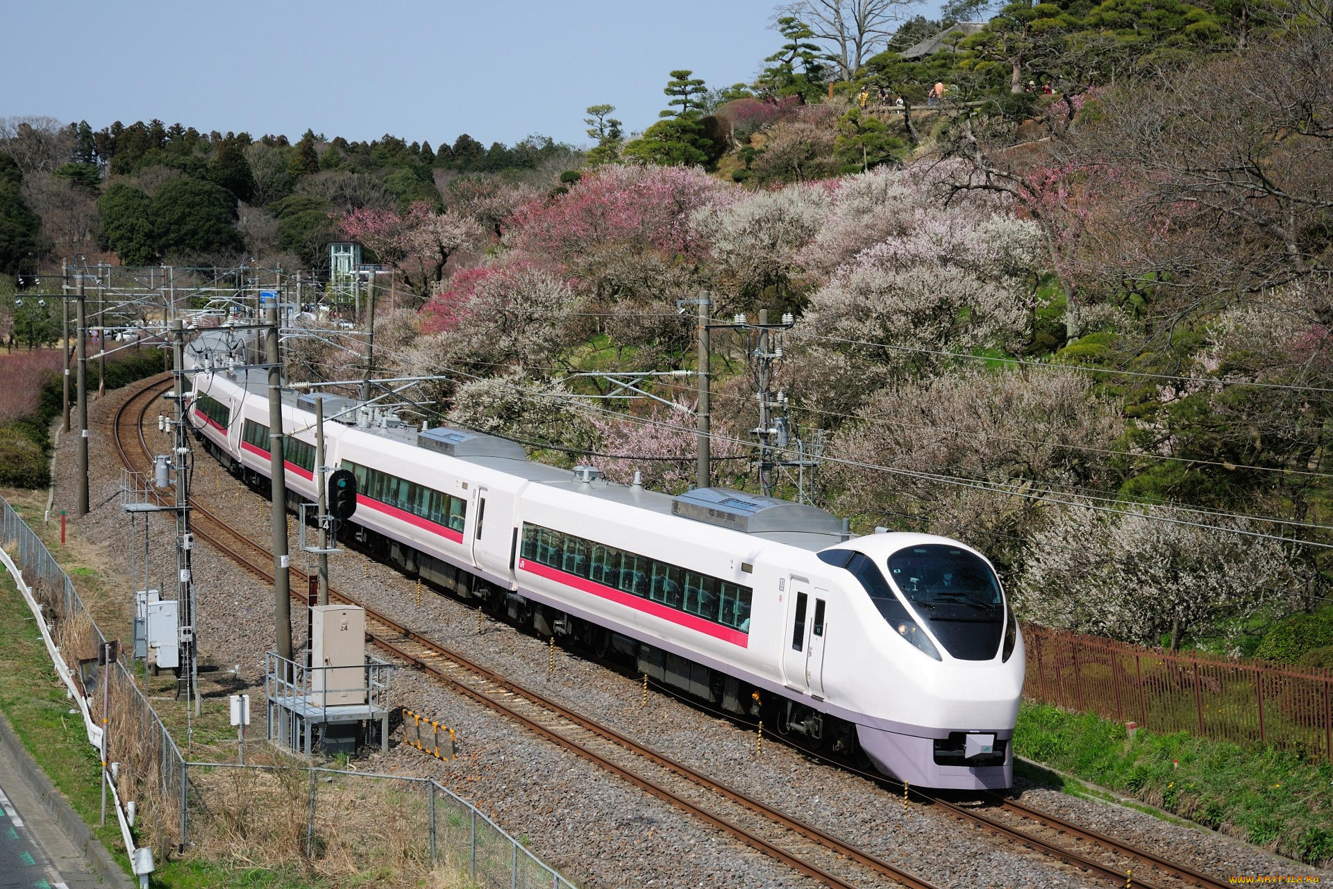 техника, поезда, поезд
