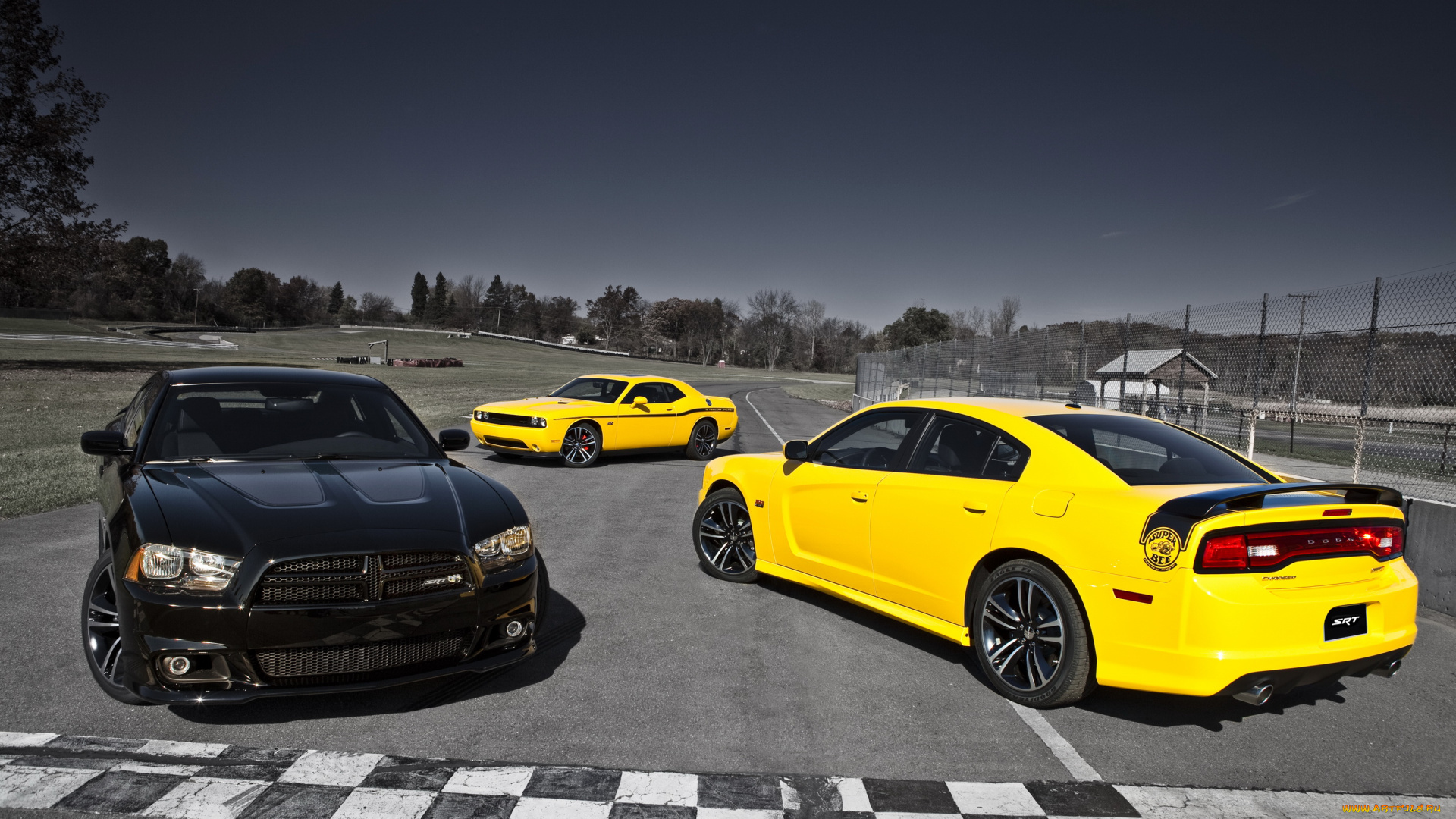 2012, dodge, charger, srt8, super, bee, автомобили
