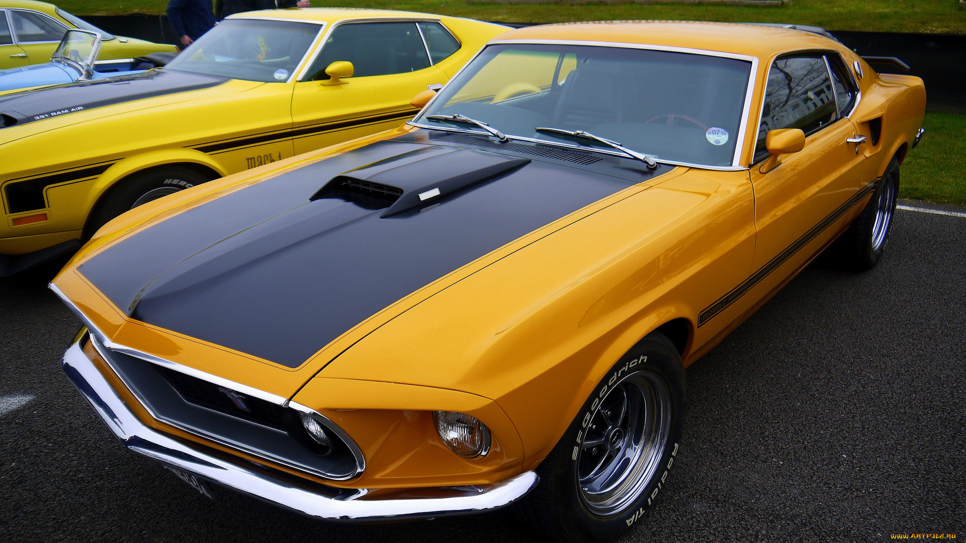 автомобили, выставки, уличные, фото, mach, 1, mustang