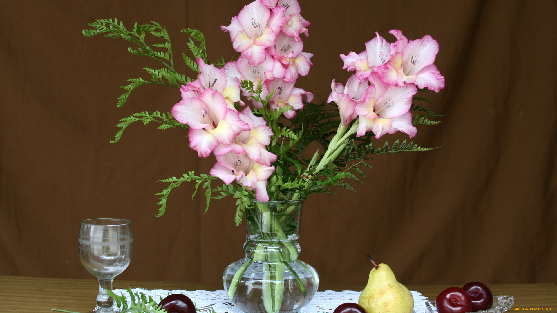 цветы, гладиолусы, натюрморт