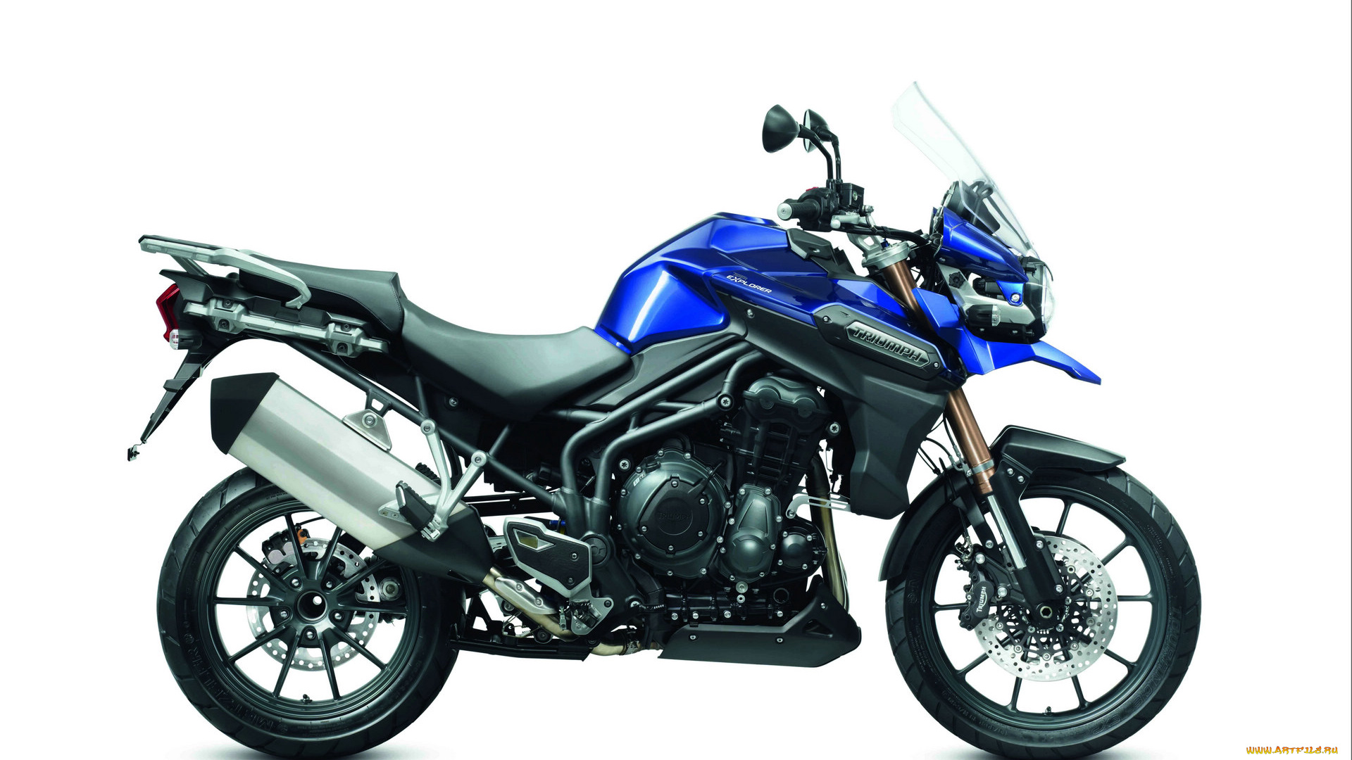 мотоциклы, triumph